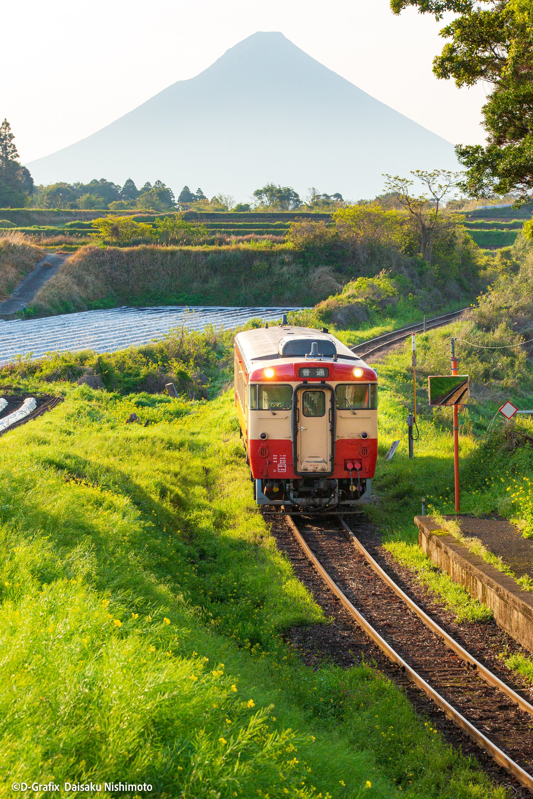 鹿児島の広告デザイン、D-Grafixにお任せください。