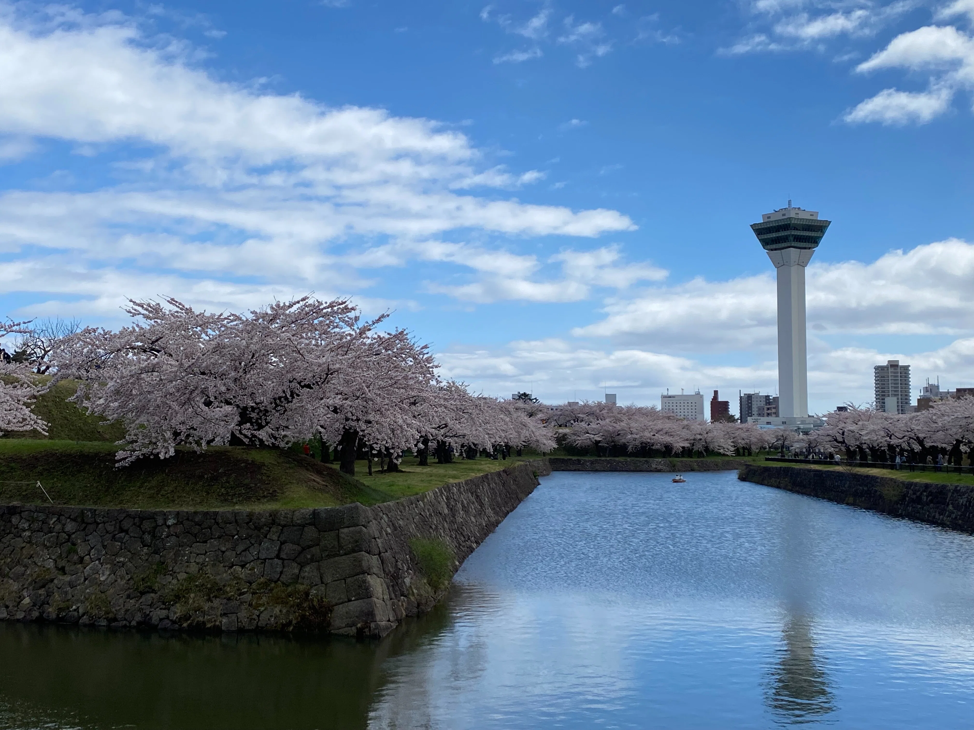 五稜郭公園2025｜くん太