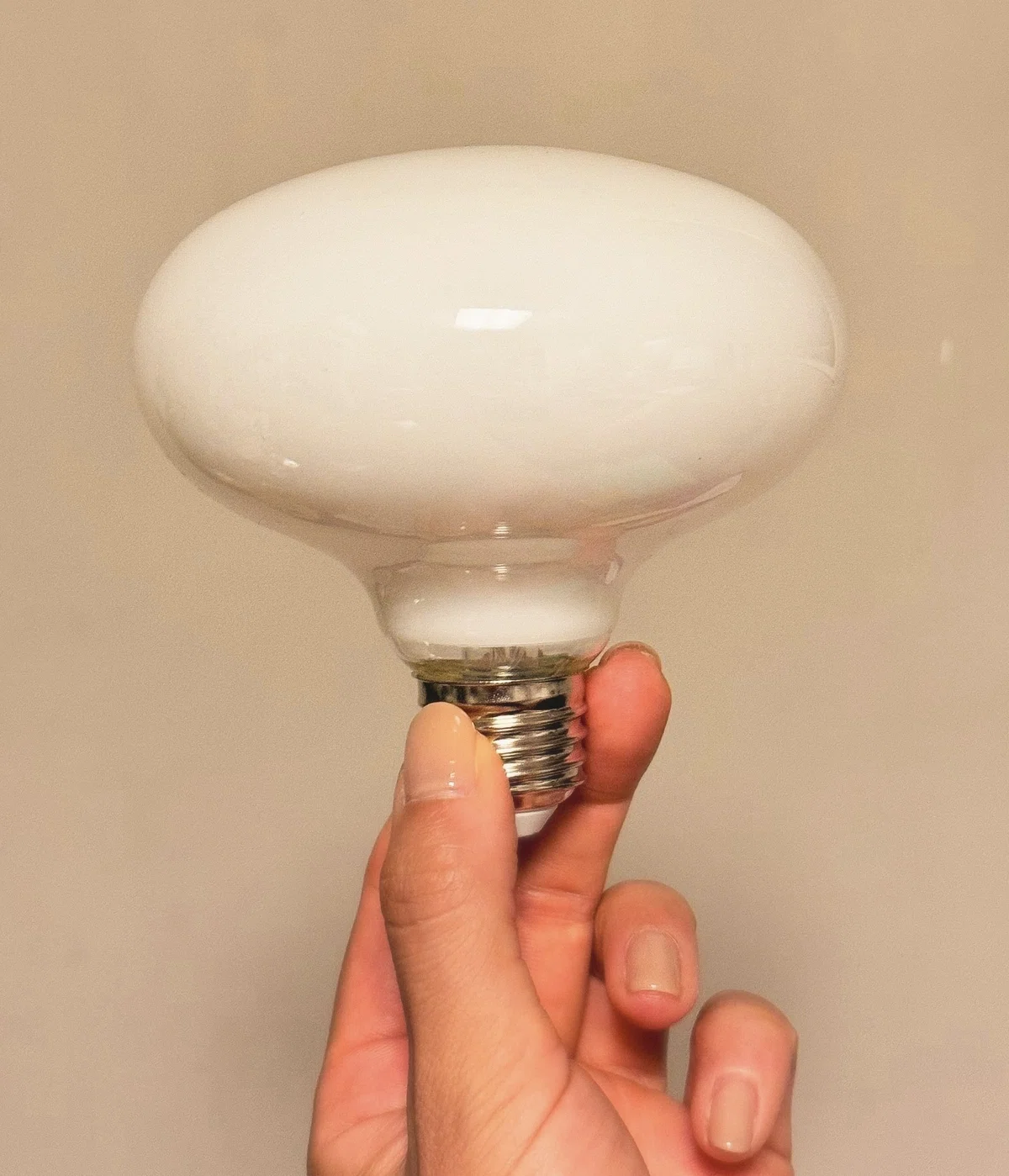 St Bulb Types A wonderful gift from Mr. Irei: a