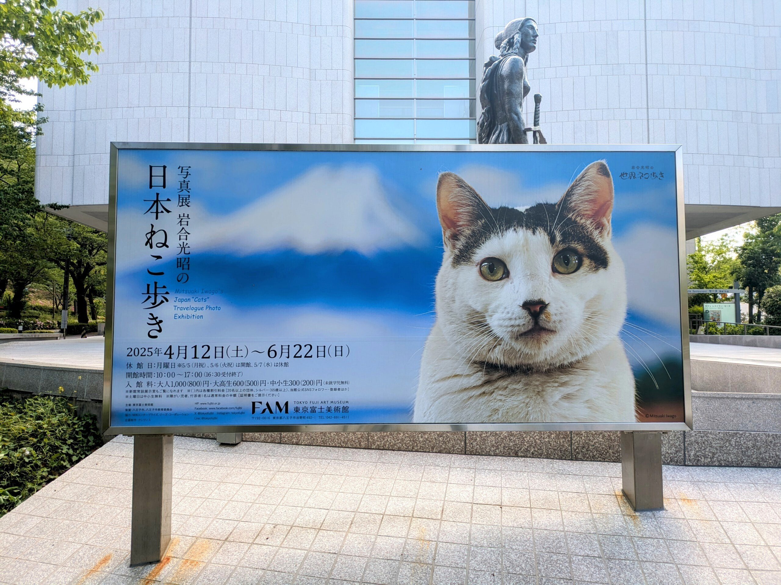 【送料込】 写真】ねこと、風景と、やさしい時間──岩合光昭『日本ねこ歩き 芸術写真
