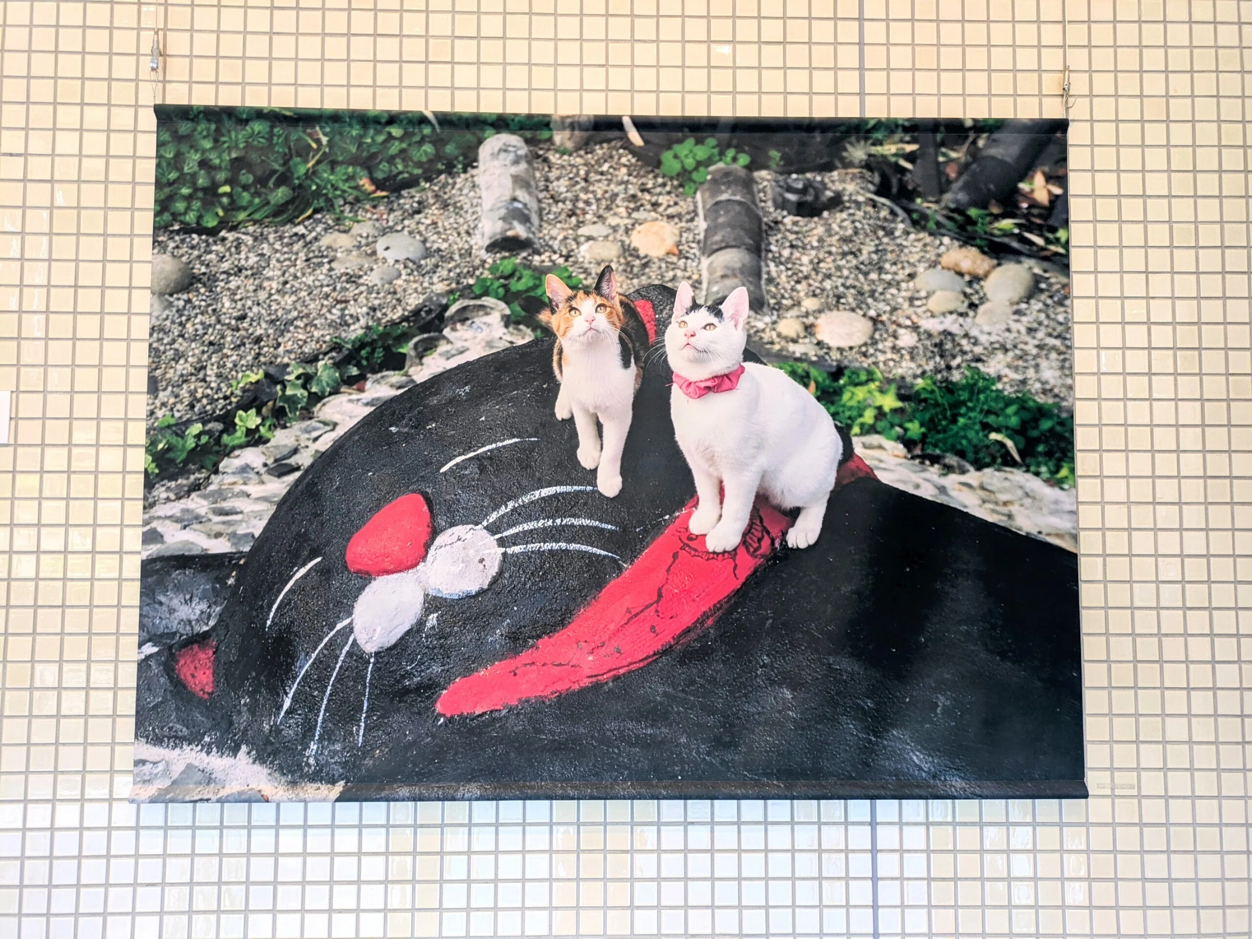 写真】ねこと、風景と、やさしい時間──岩合光昭『日本ねこ歩き』展へ
