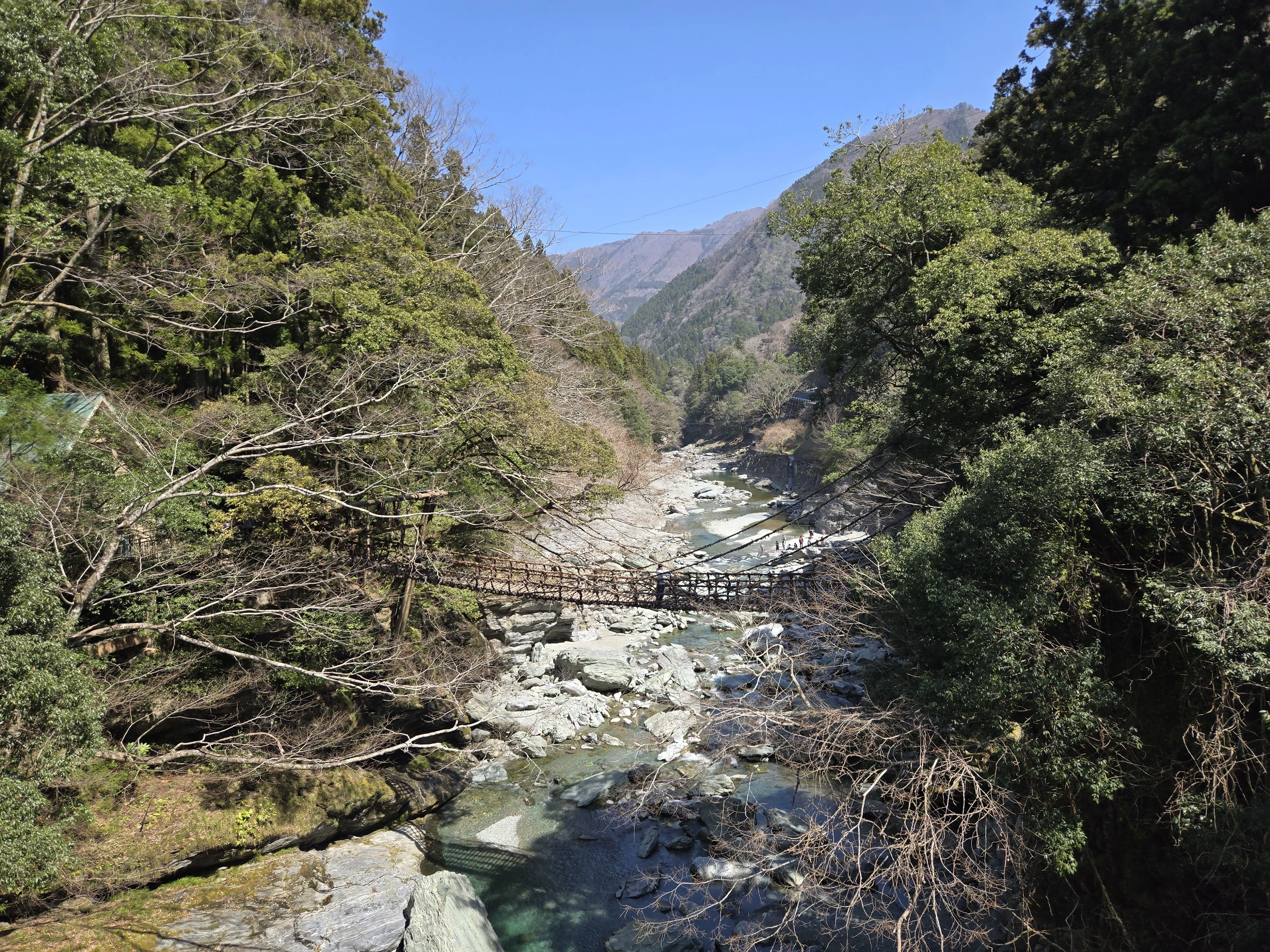 四国一周旅行】大歩危編｜一般大学生の旅行記