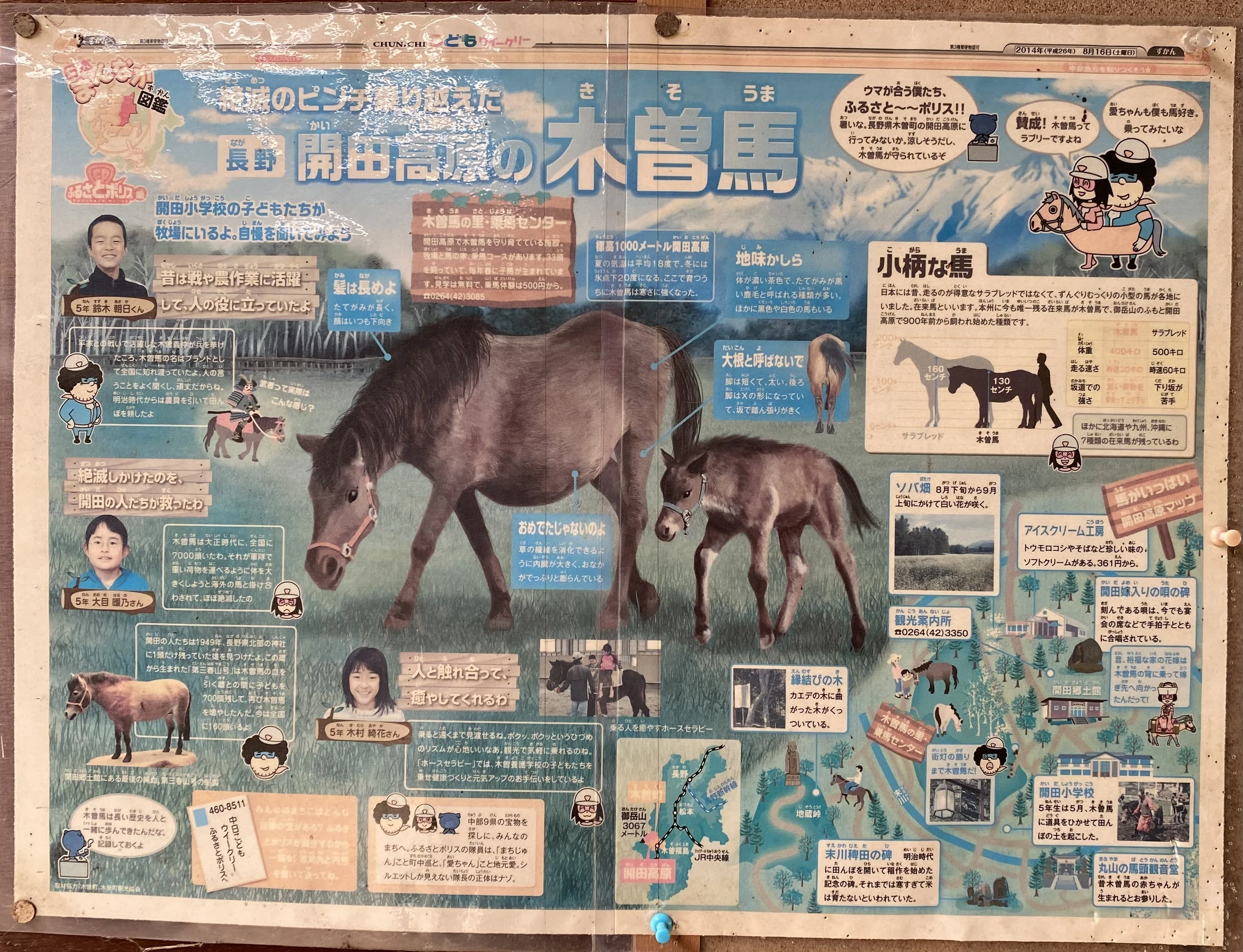 本 目で見る木曽の100年