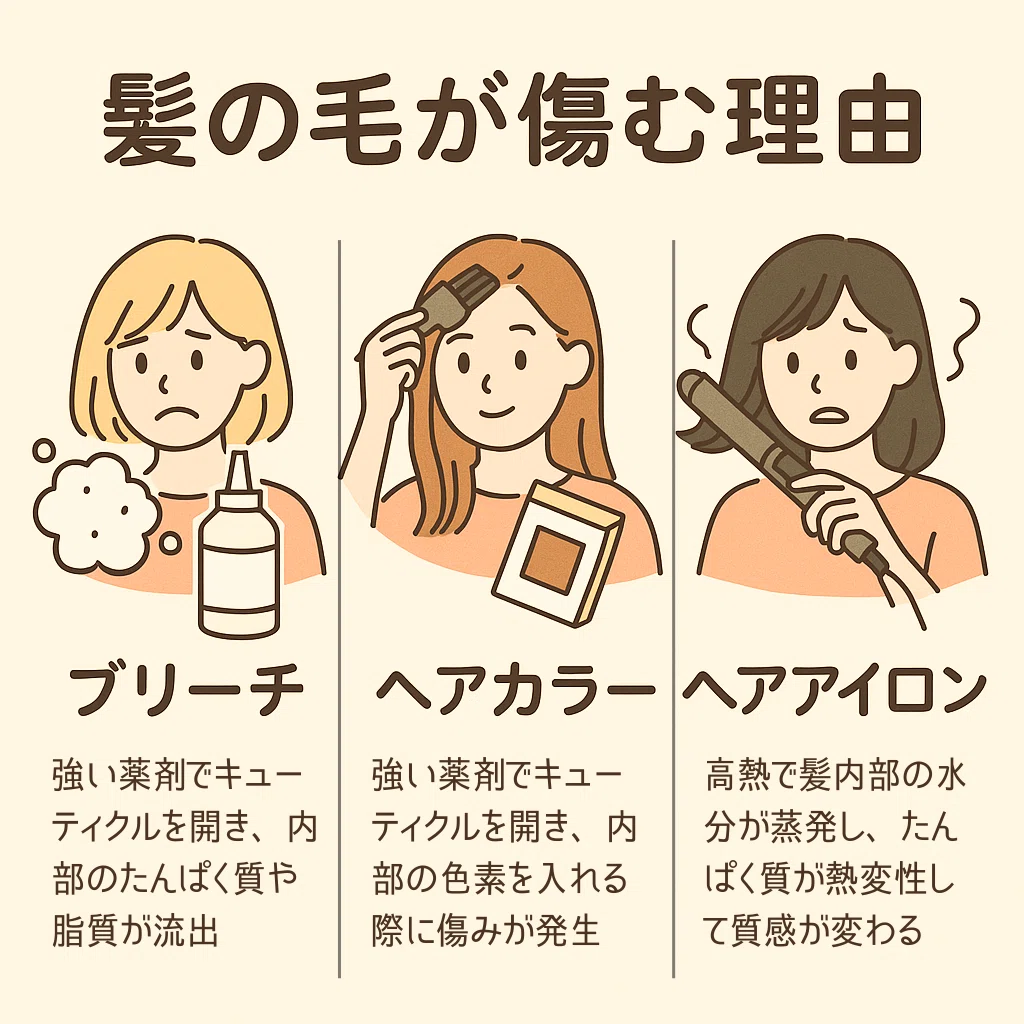 髪が傷む理由トップ3｜野島健治（NPK）