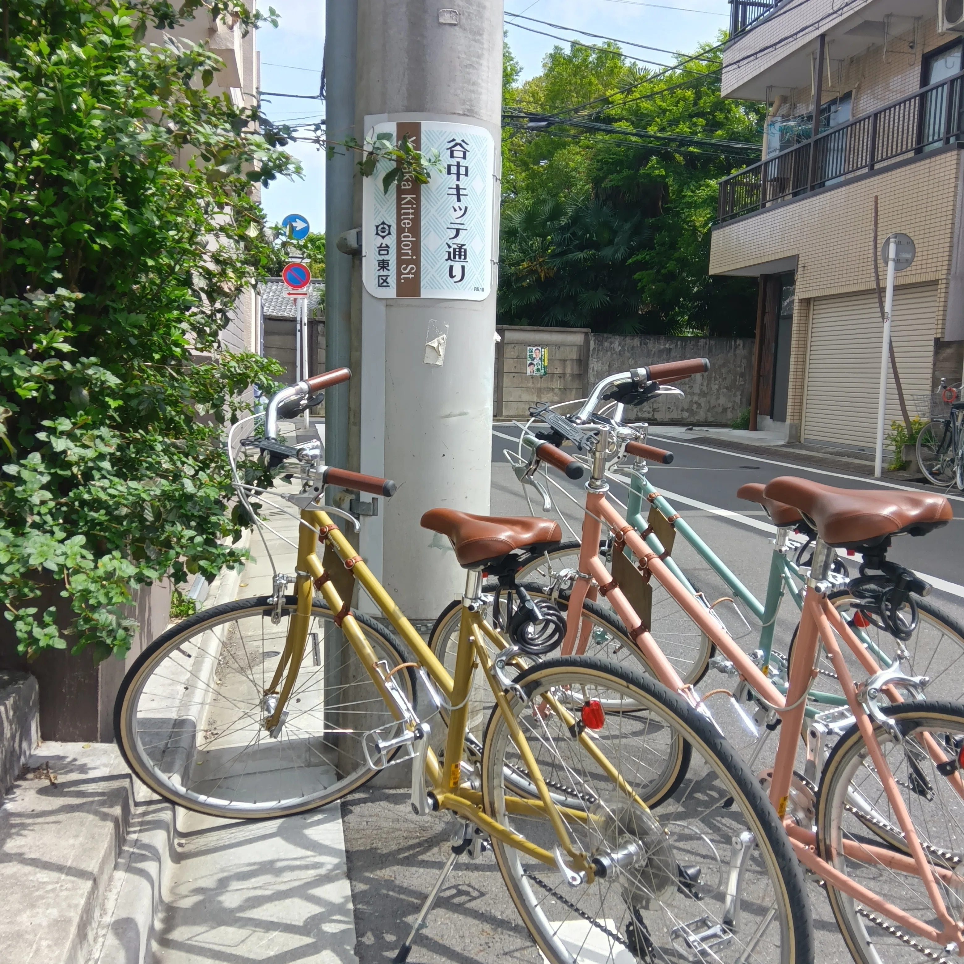 🚲サイクリングレポート🚲 谷根千RIDE PART1｜みんなのスポーツ