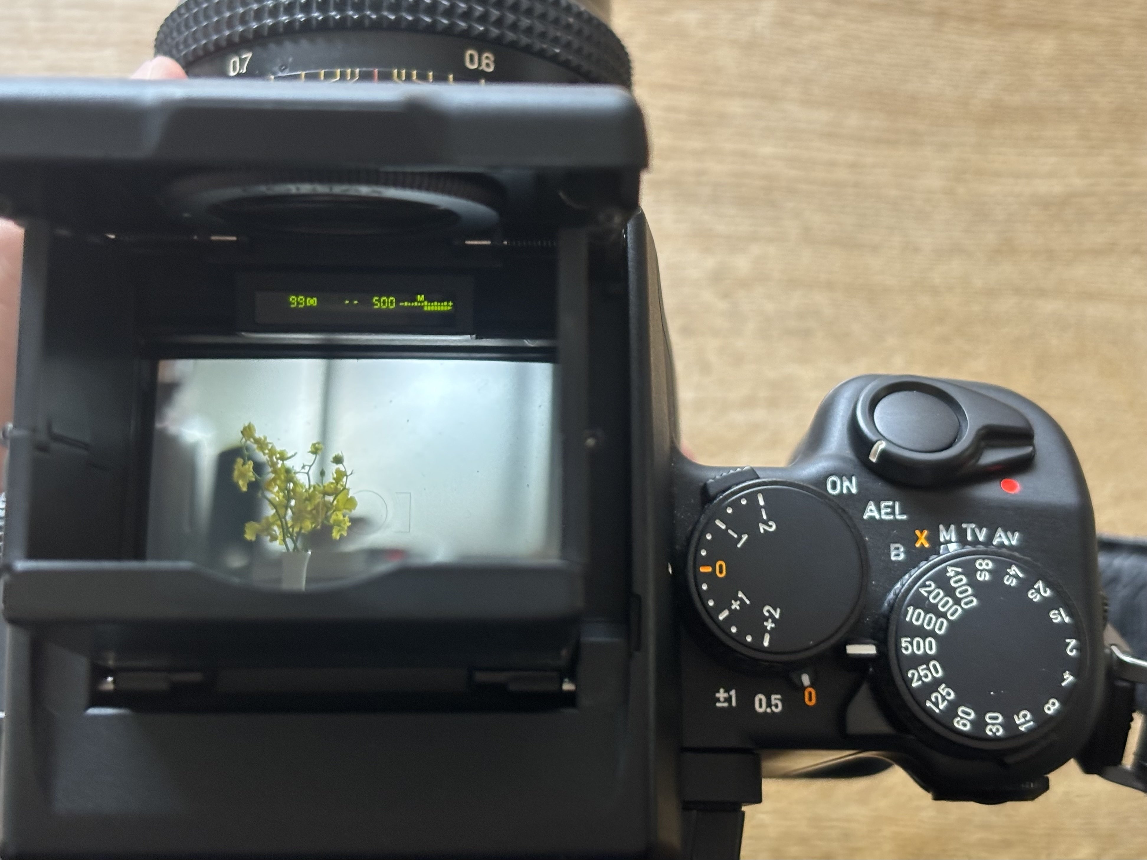 CONTAX645に80mmのレンズを付けて挑戦すること｜Takumi Ikeda