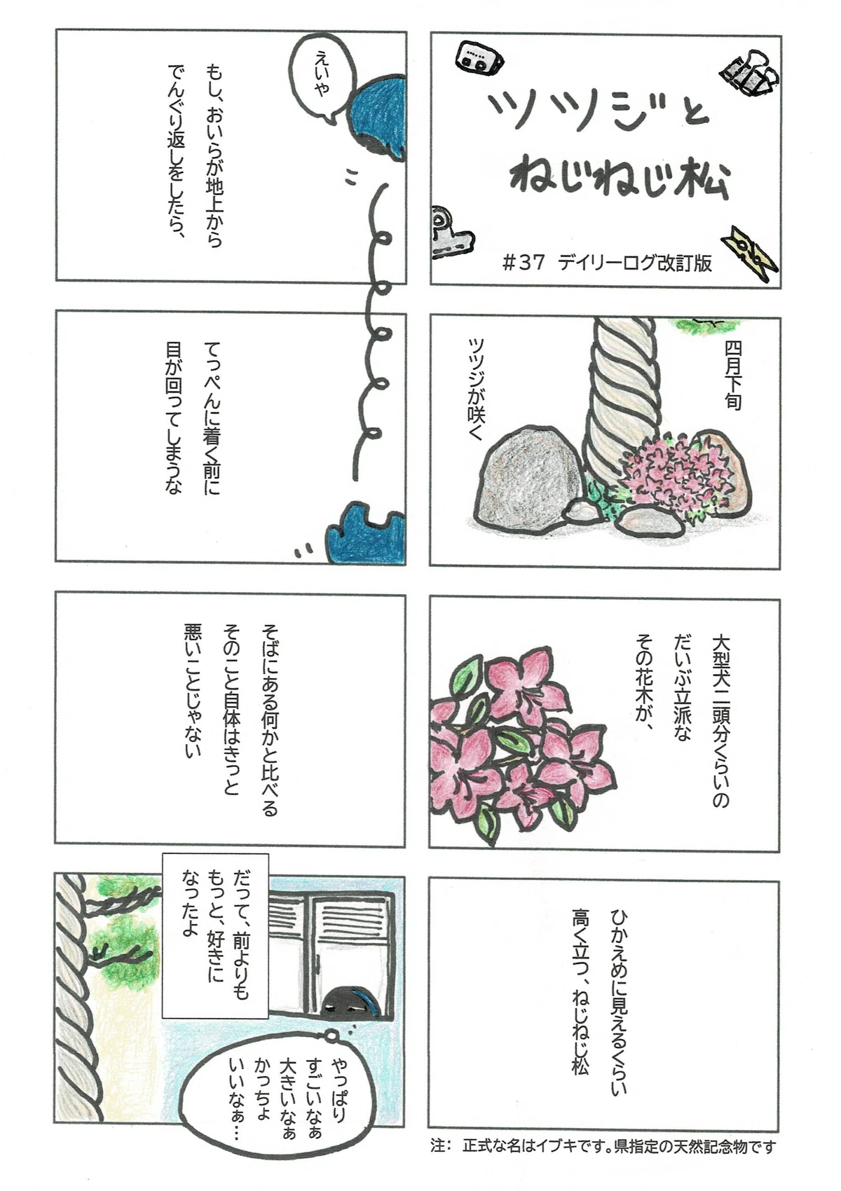イブキという木が大きくてかっちょいいという話