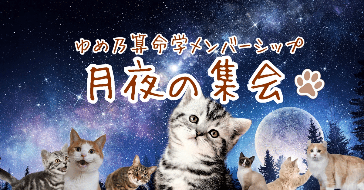 【￥9,700引】ゆめ乃算命学「フルハウス」　レベル１～５　独学　鑑定　本　占い ゆめ乃算命学【応用】⑥結婚相性1 レベル4 独学 鑑定 本 占い