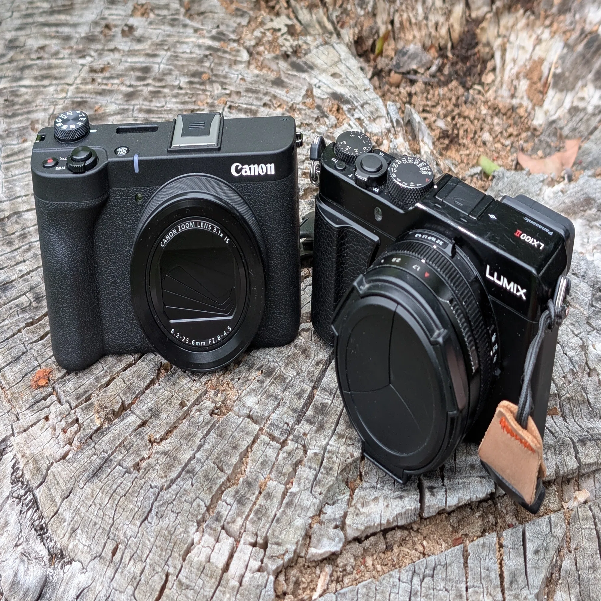 Canon PowerShot V1 スチル撮影レビュー with LUMIX DC-LX100M2 