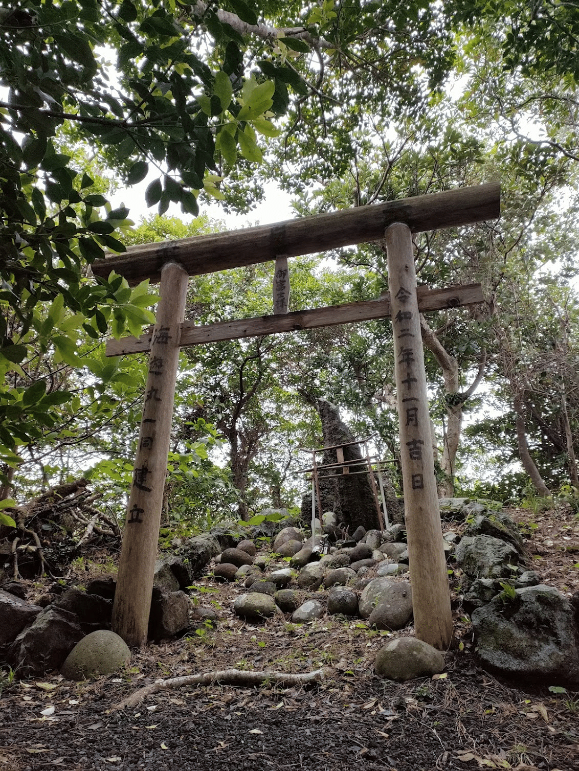 絶海の孤島・青ヶ島で