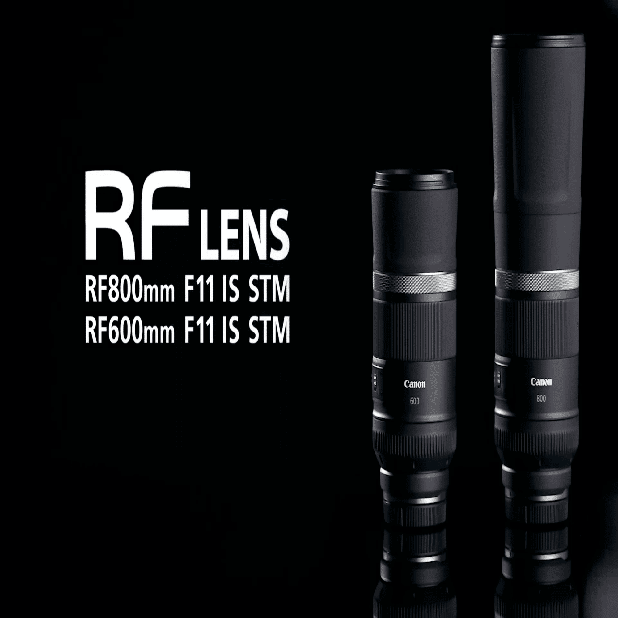 RF800mm F11 IS STM借りました #2150｜RURI