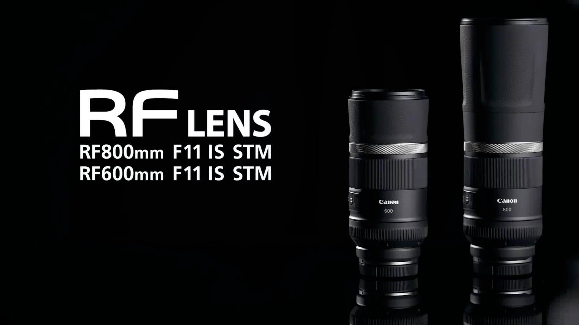 RF800mm F11 IS STM借りました #2150|RURI RF800mm F11 IS STM借りました #2150|RURI