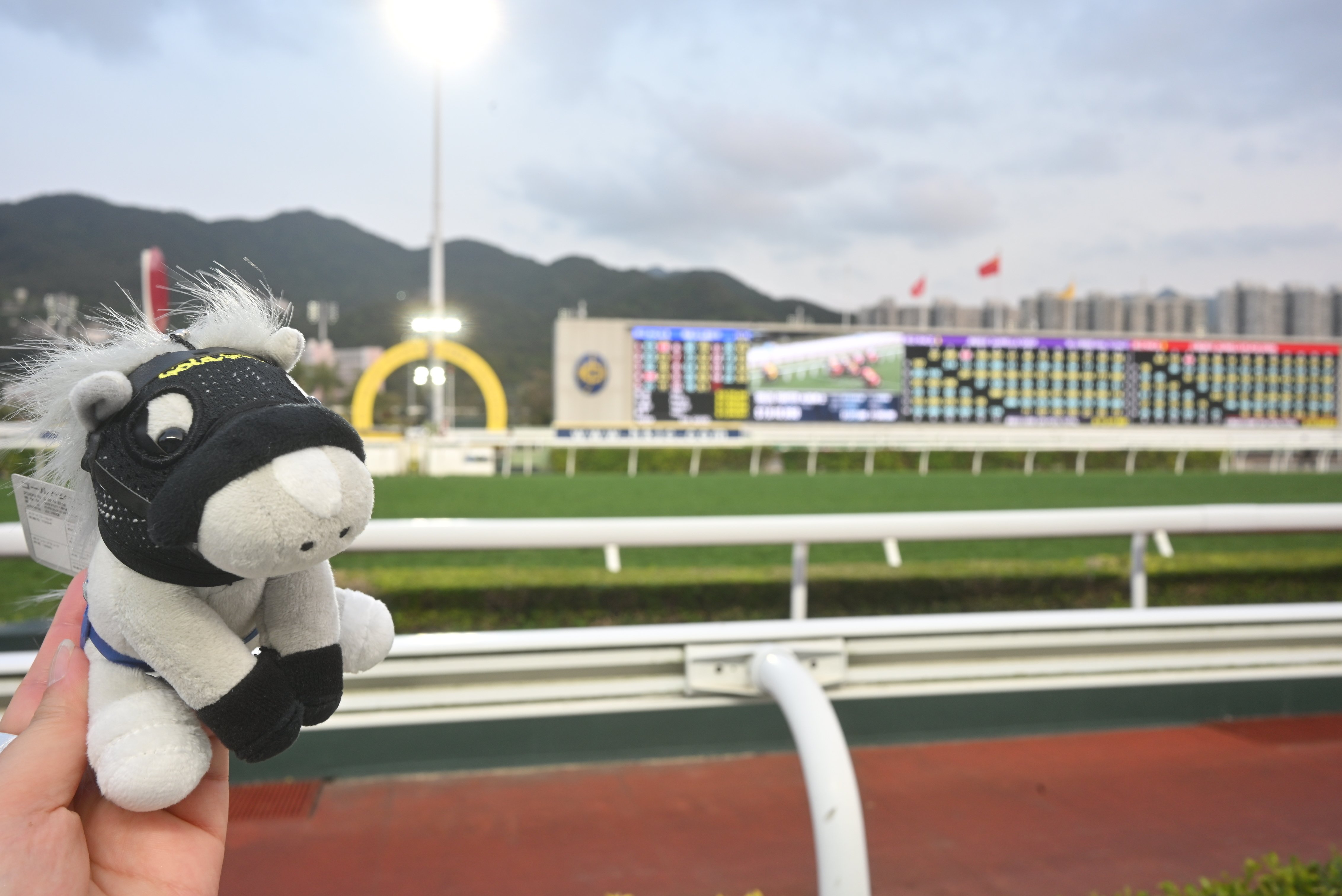 トワイライト・ウォリアーズのセット展示を見に香港一人旅⑤【2日目