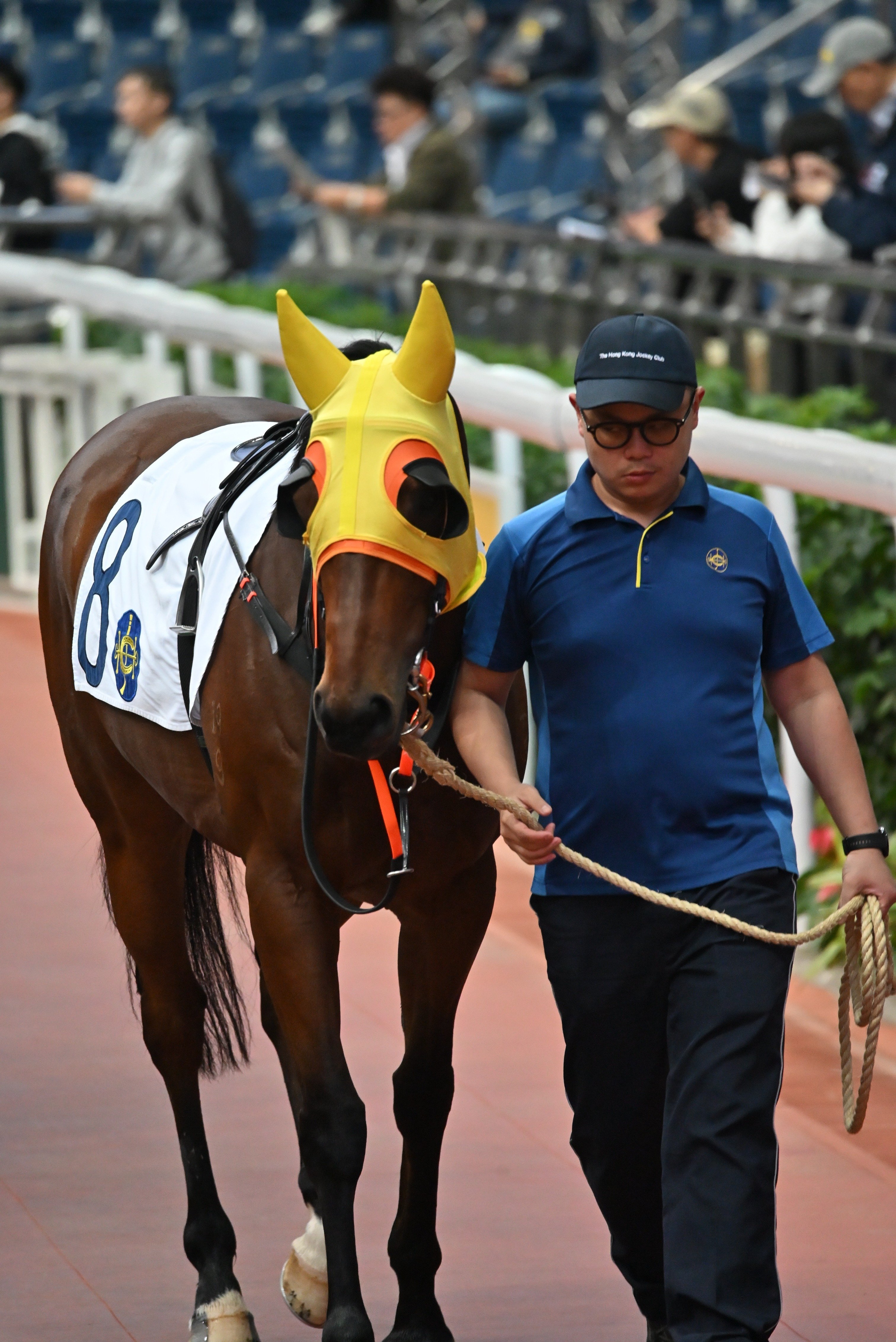 トワイライト・ウォリアーズのセット展示を見に香港一人旅⑤【2日目