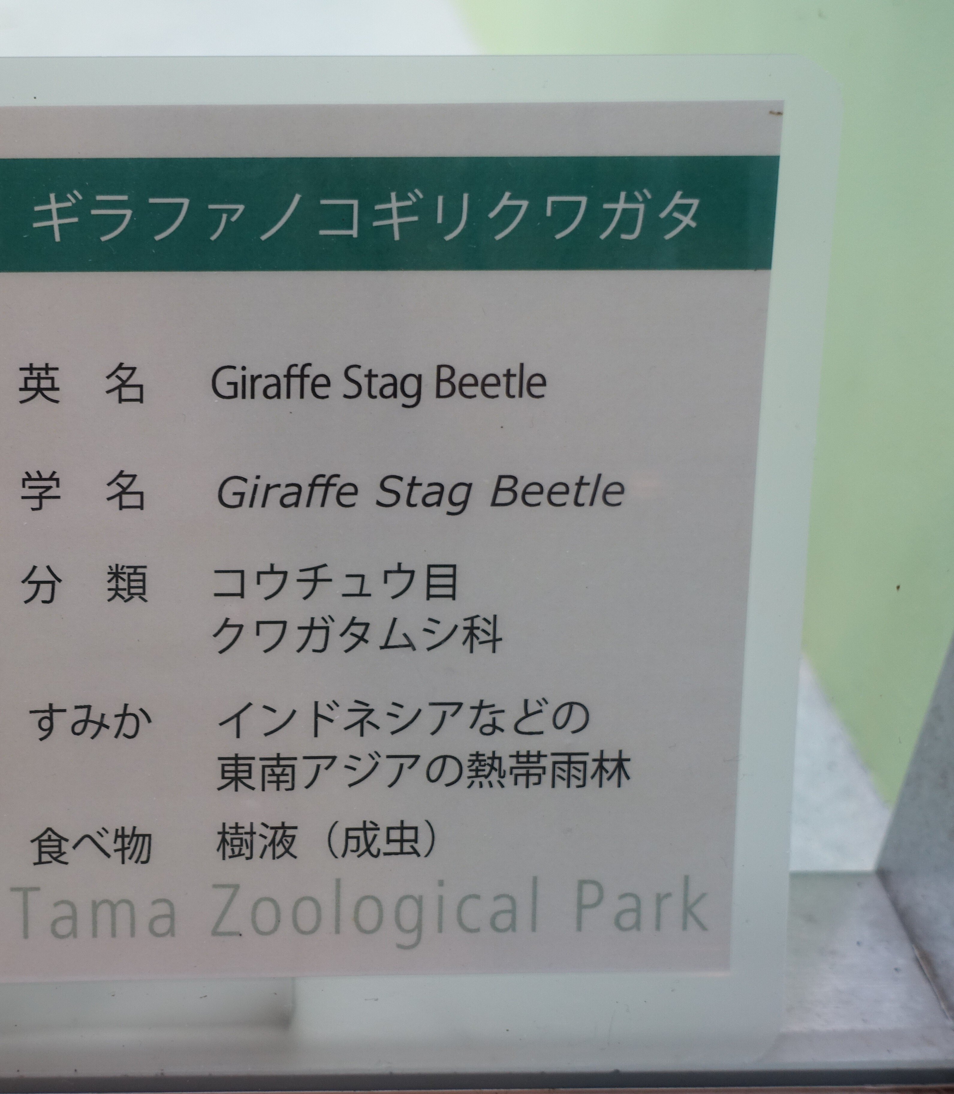 20250501 学名から見るラテン語 ＠多摩動物公園 Part1｜とるてぃ