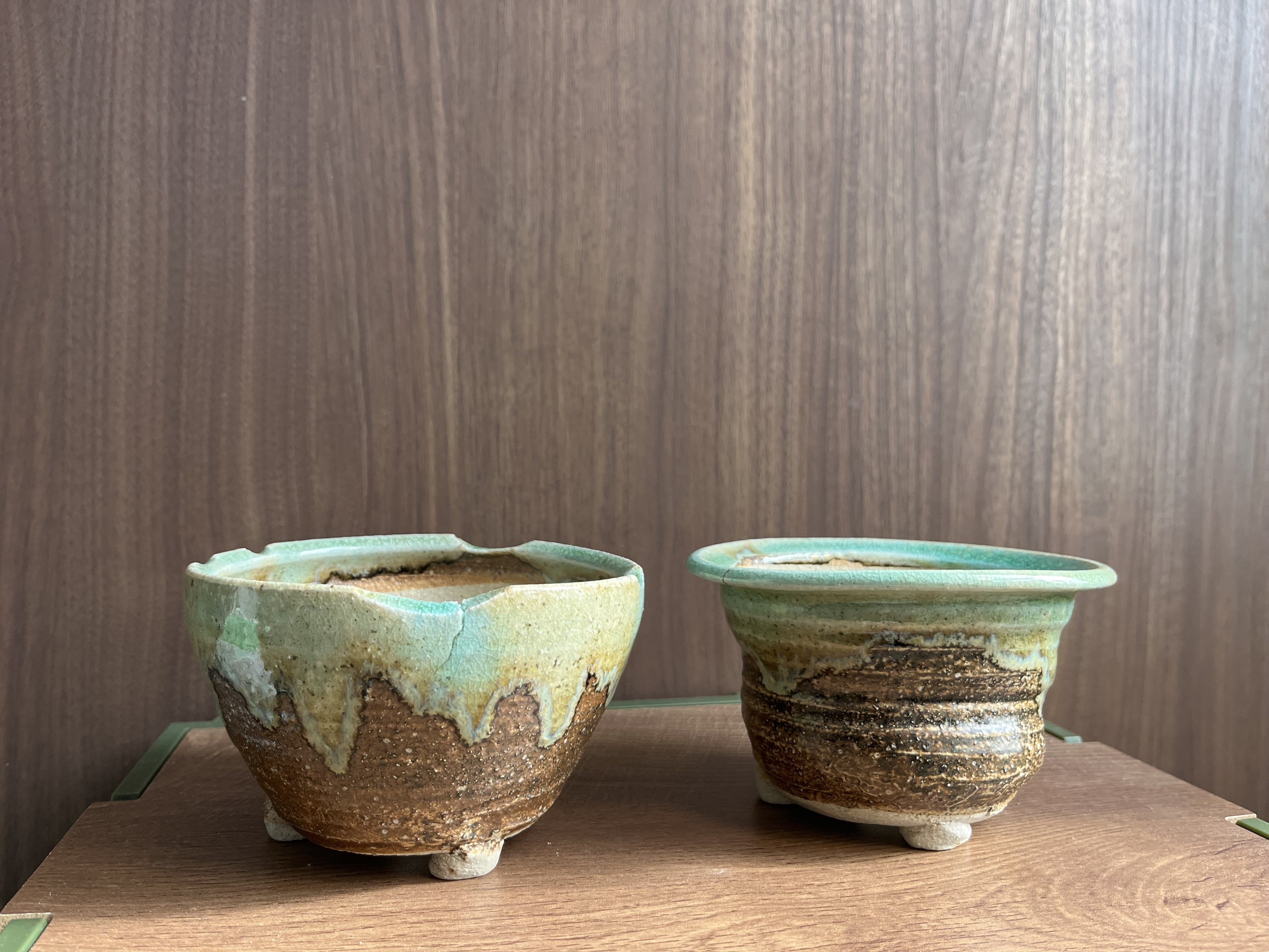 有田陶器市で買った植木鉢が最高すぎた｜シオ＠西向き部屋で植物と共存