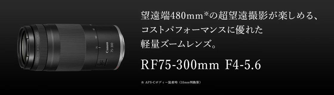 ★極美品望遠レンズ★ Canon EF 75-300mm 発表会 運動会用 キヤノン EF 75-300mm F4-5.6 USM 高倍率望遠ズーム