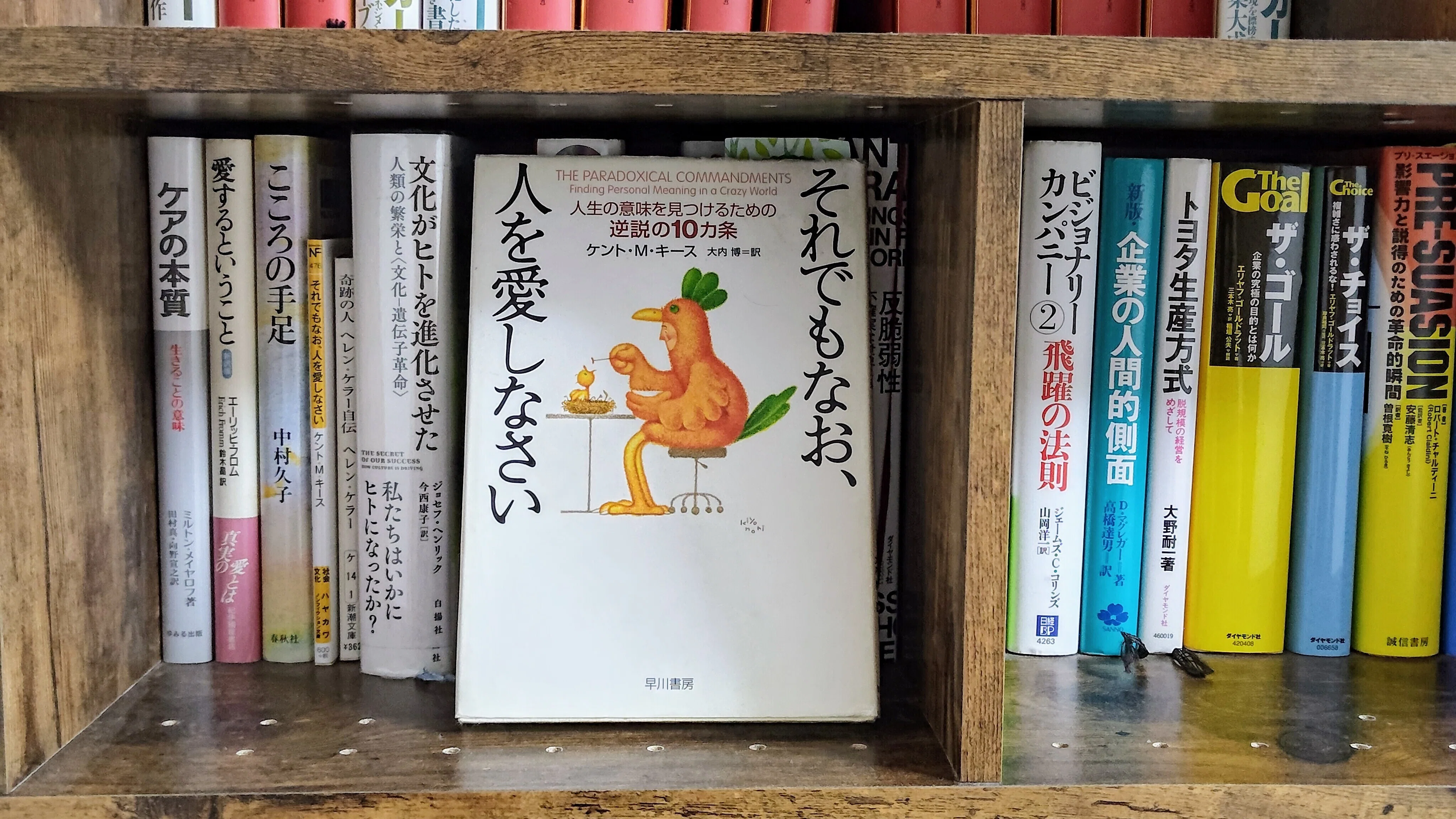 文化」という言葉に頼らずに、本や書店を語る挑戦をはじめます｜ライツ社