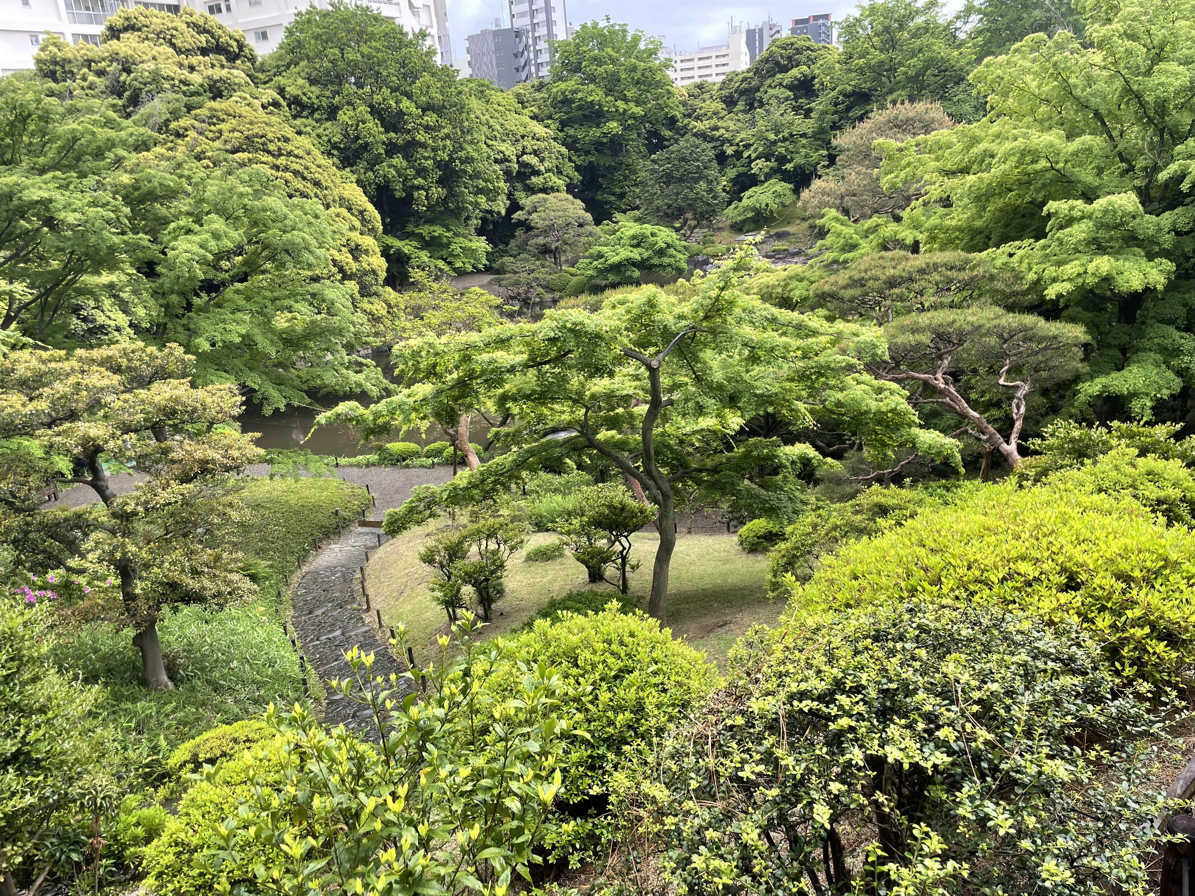 薔薇が咲いた！雨の旧古河庭園♡｜shouko