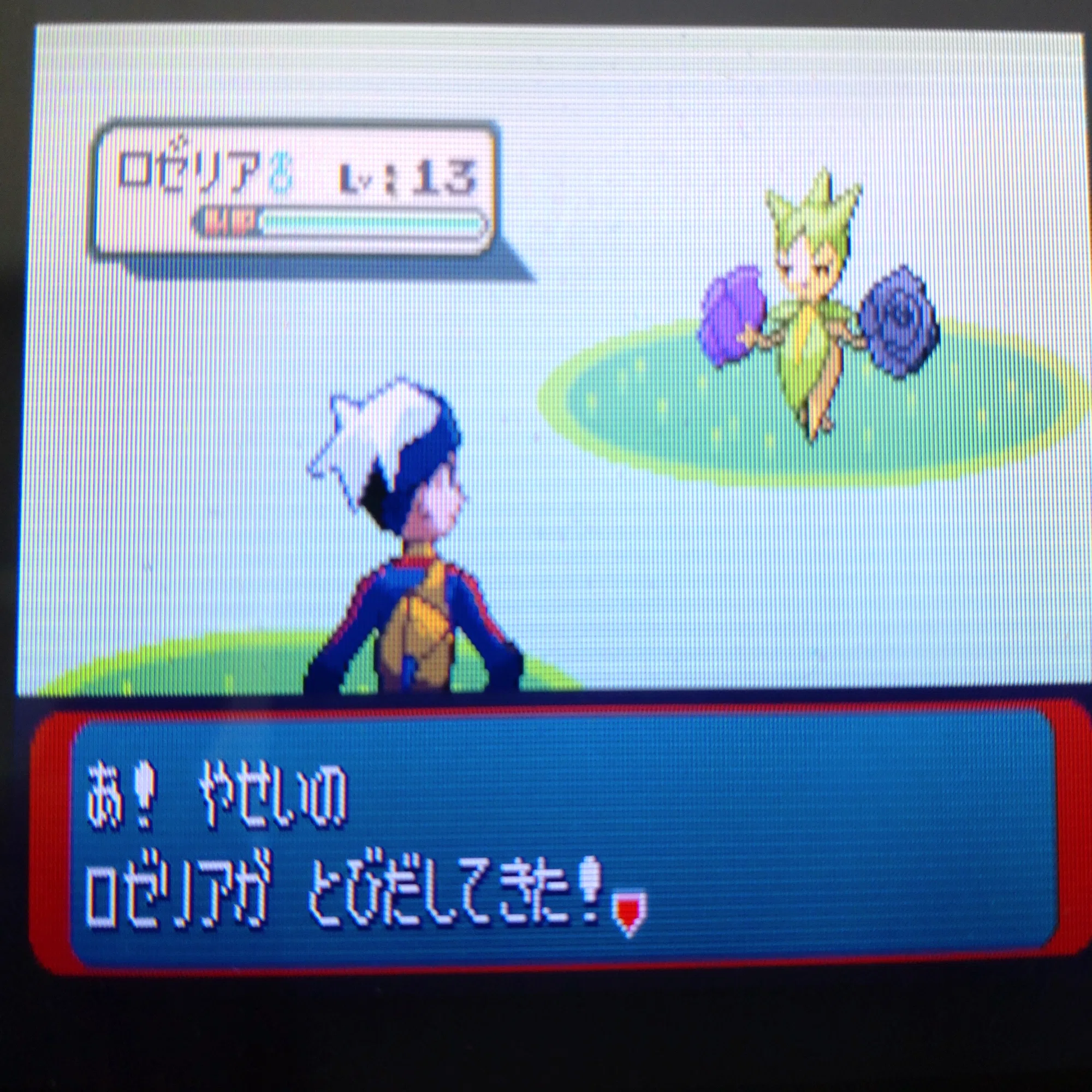 ポケモンRS]ルビー・サファイア限定個体を収集する｜がみ
