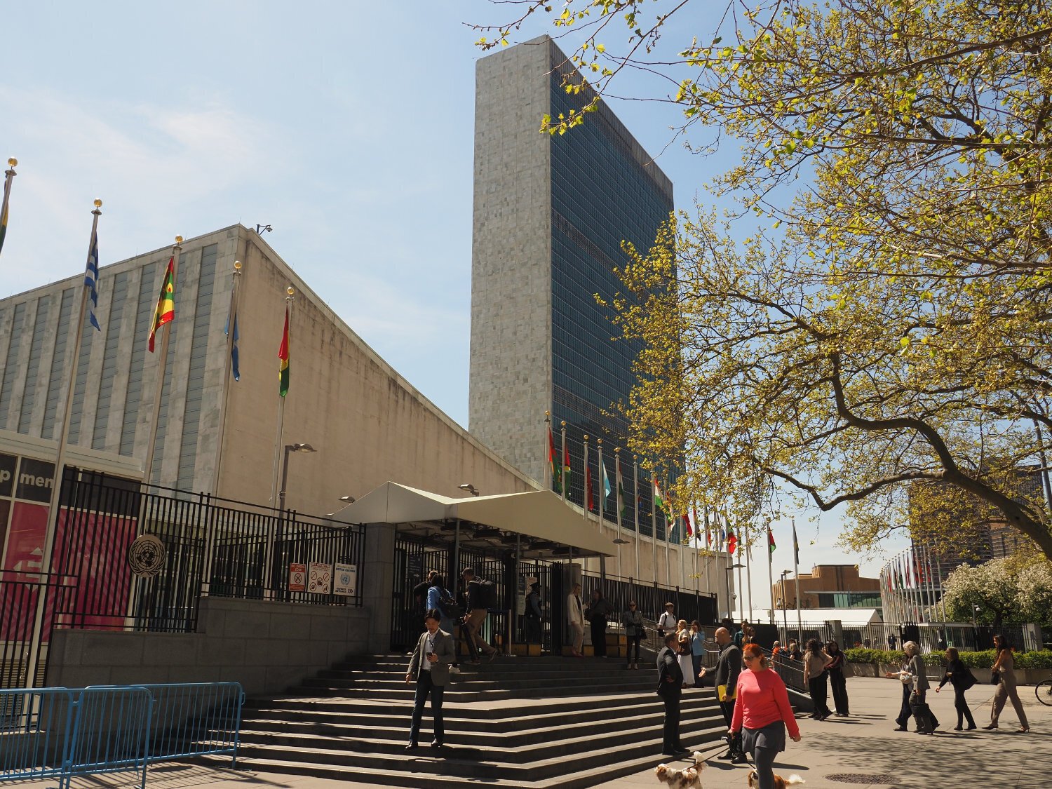 世界の資本主義の中心の公立図書館 NY散歩11｜藤井満