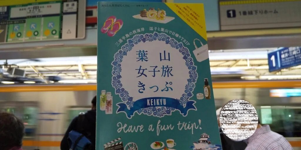 すみっコぐらし　京急　ぺんぎん？　ぺんぎん(ほんもの) 葉山女子旅きっぷ すみっコぐらし 京急