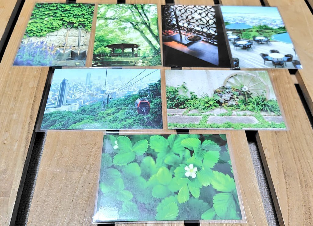 アンティーク絵葉書専門店 ポケットブックス / 兵庫 神戸 兵庫