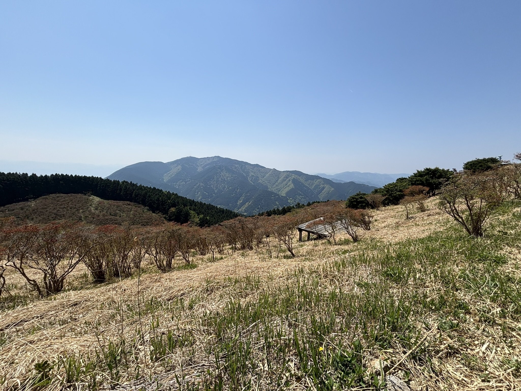 早くとも 混む前からと 行く山に 花はまだだが 絶景そこに