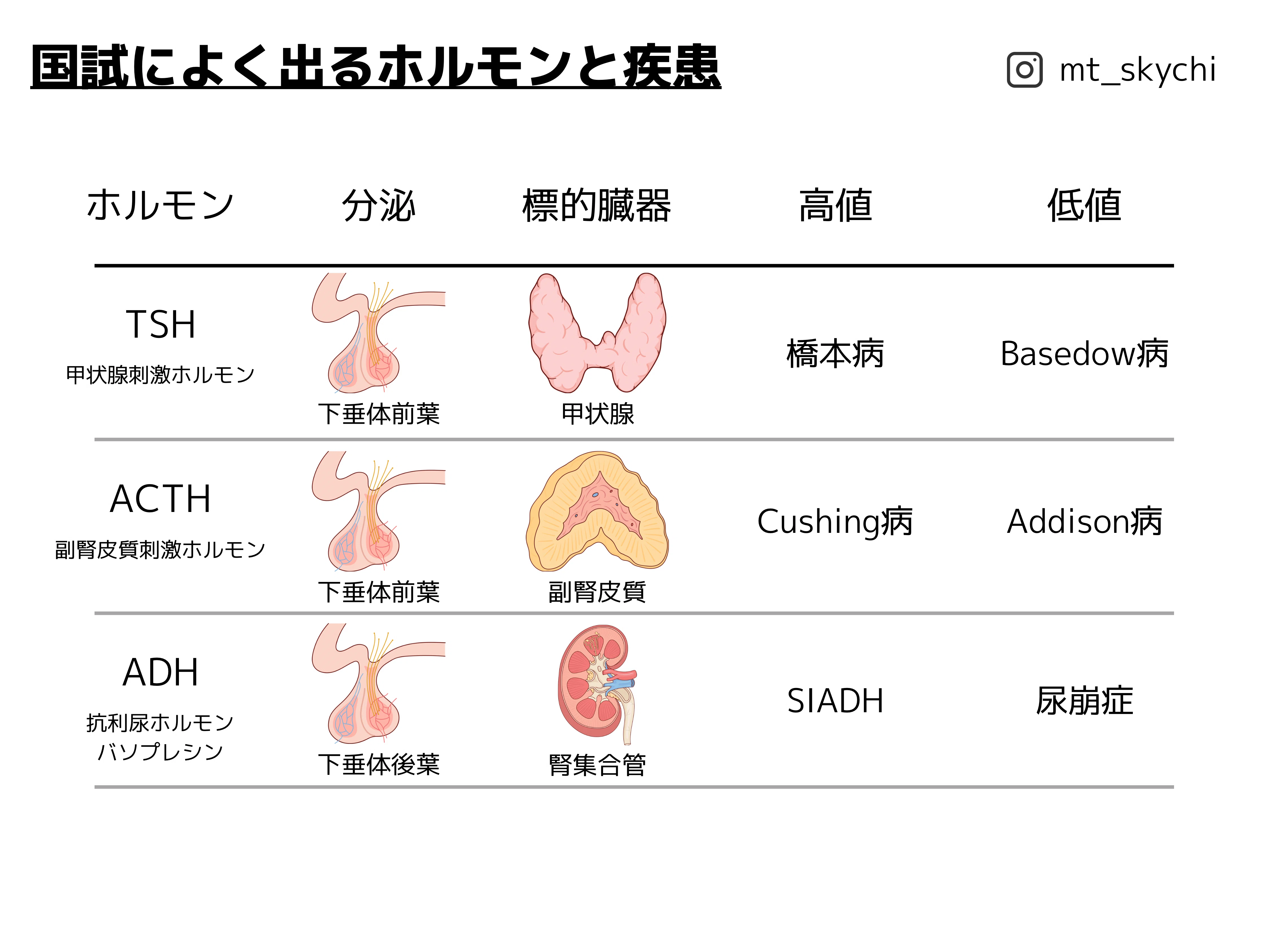 2025第71回臨床検査技師国家試験解説【臨床化学】#29〜44|そらち/臨床 2025第71回臨床検査技師国家試験解説【臨床化学】#29〜44|そらち/臨床
