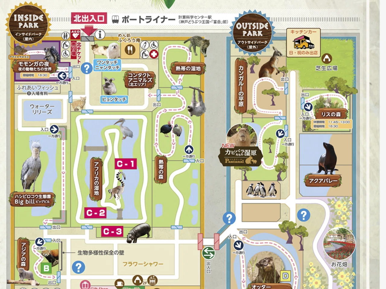 活動歴および当時の関連ビジュアル記録