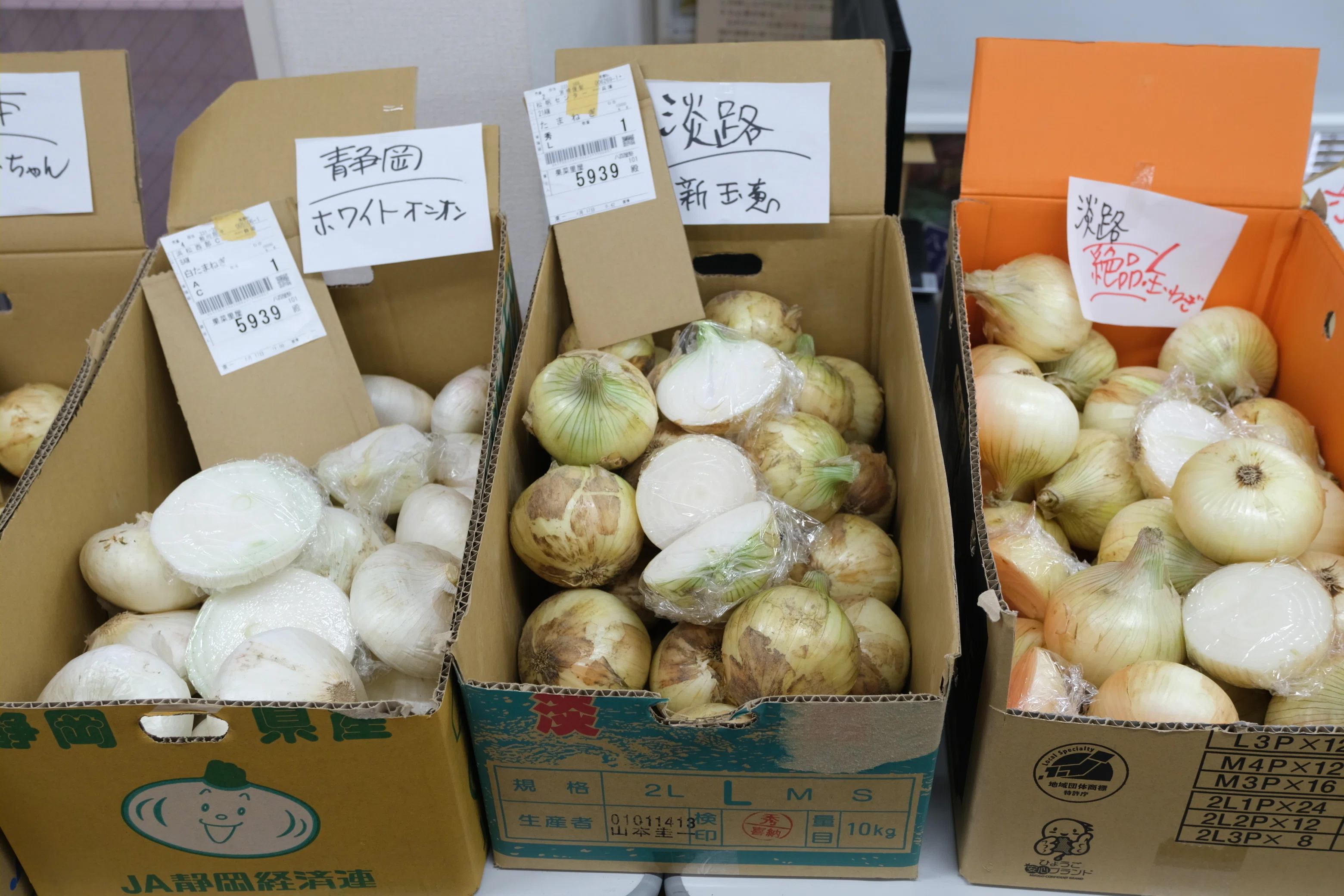 八百屋塾レポート】 勉強品目：たまねぎ（2025/4/20開催）｜八百屋塾