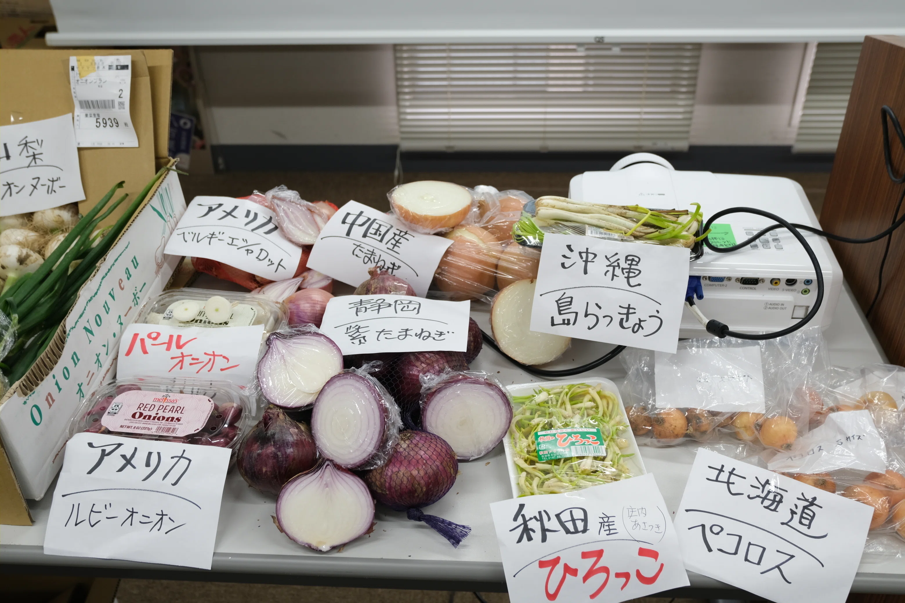 八百屋塾レポート】 勉強品目：たまねぎ（2025/4/20開催）｜八百屋塾