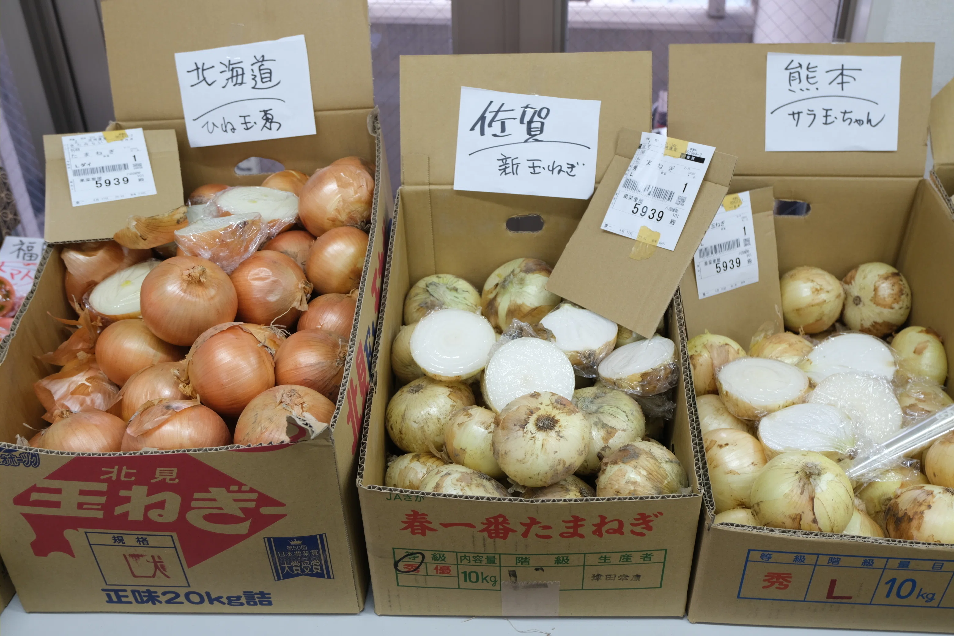 八百屋塾レポート】 勉強品目：たまねぎ（2025/4/20開催）｜八百屋塾