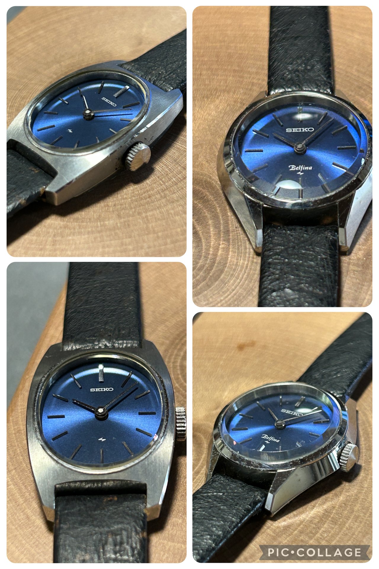 第82回 セイコー ベルフィーナ｜kkclub