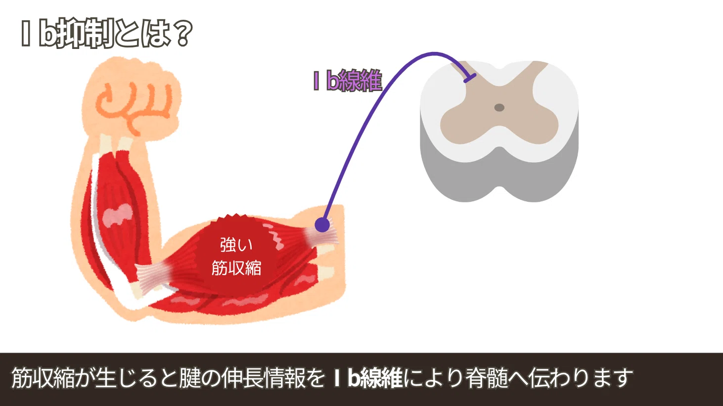 折りたたみ ナイフ 現象