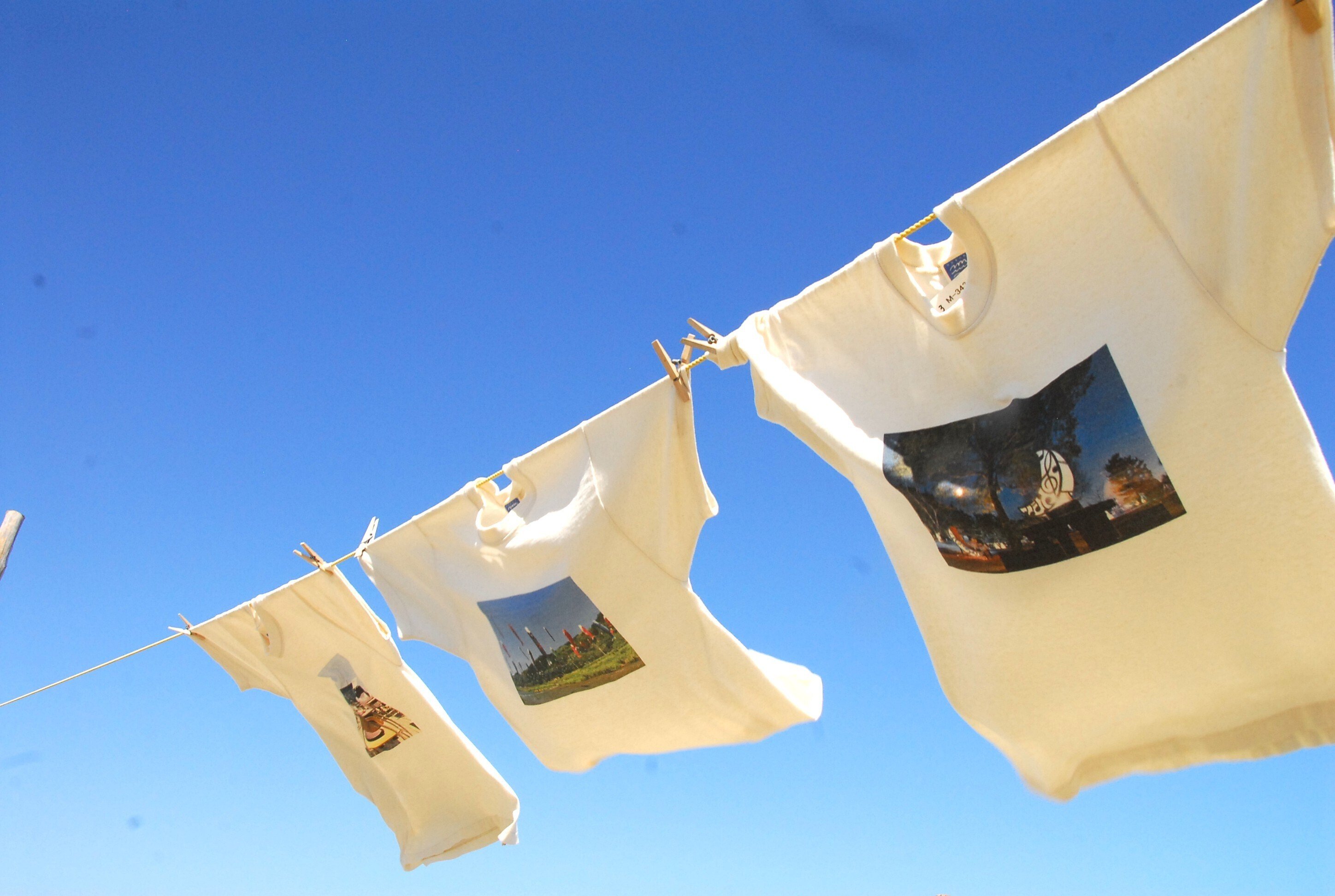 高知県黒潮町の「Tシャツアート展」。入野松原の砂浜が美術館になった