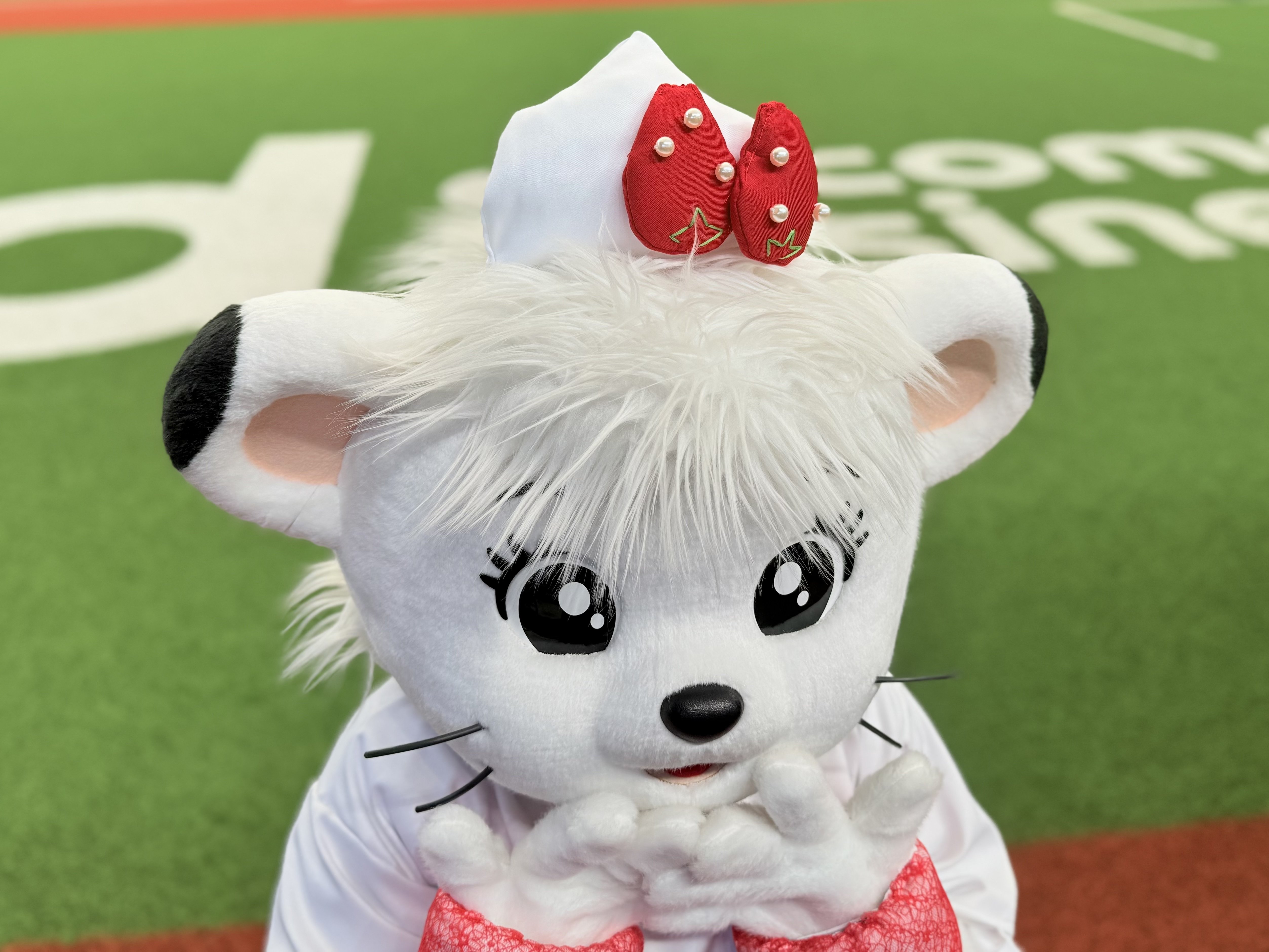 ハッピーバースデー！これを読めば、キュートで愛らしい「埼玉西武