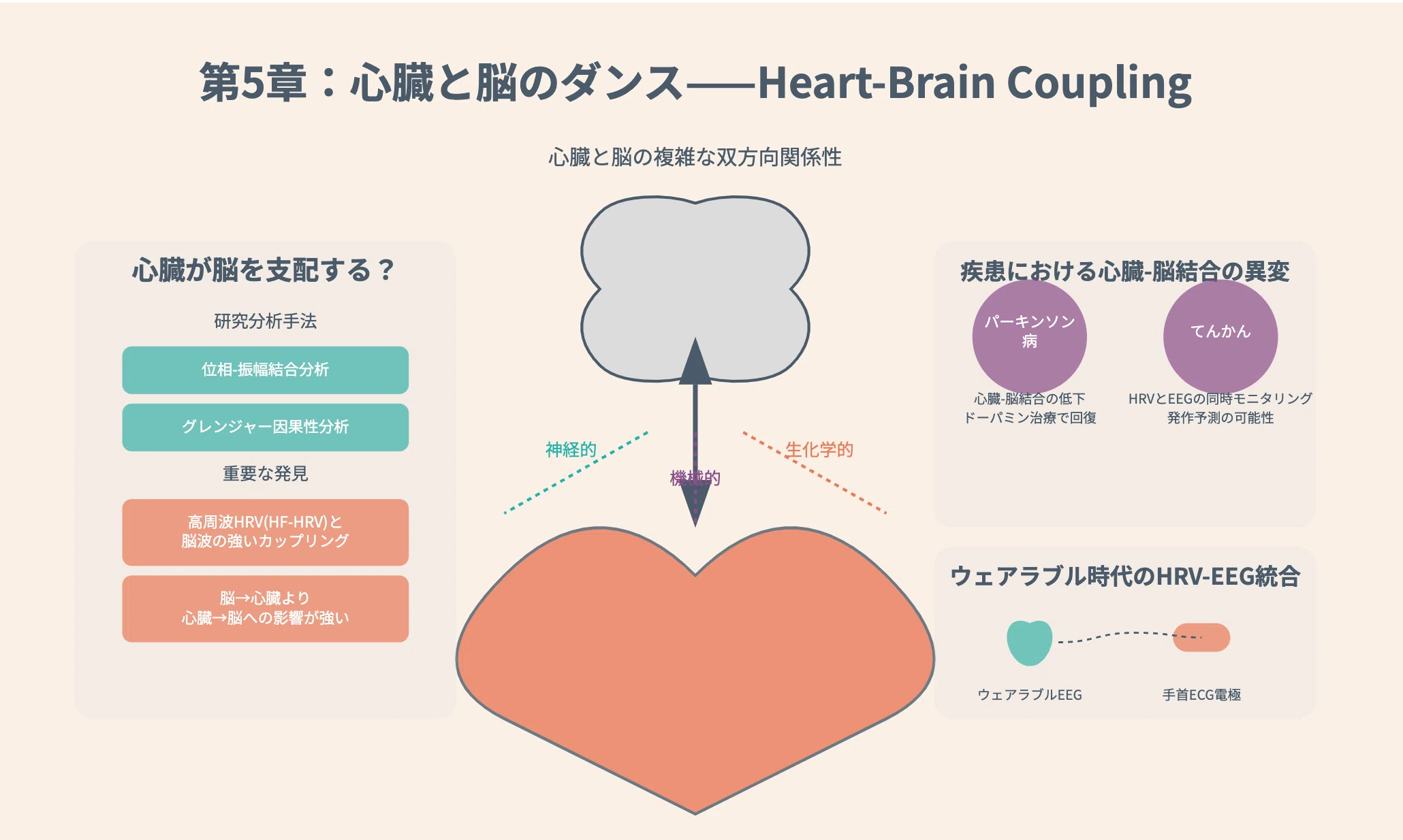 339「心臓が語る感情の言語：HRV（心拍変動）研究が開く共感