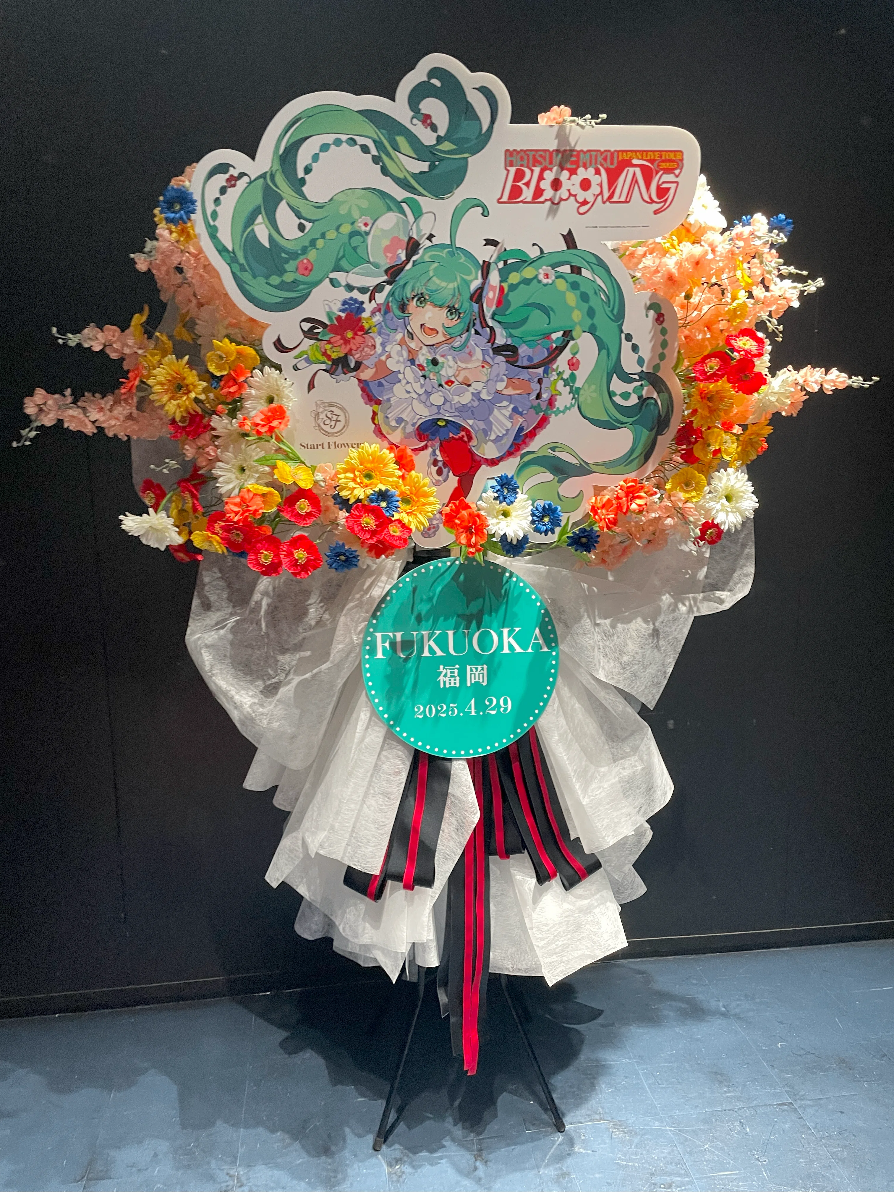 BLOOMING福岡(初音ミク JAPAN LIVE TOUR 2025) 感想戦！｜たなka