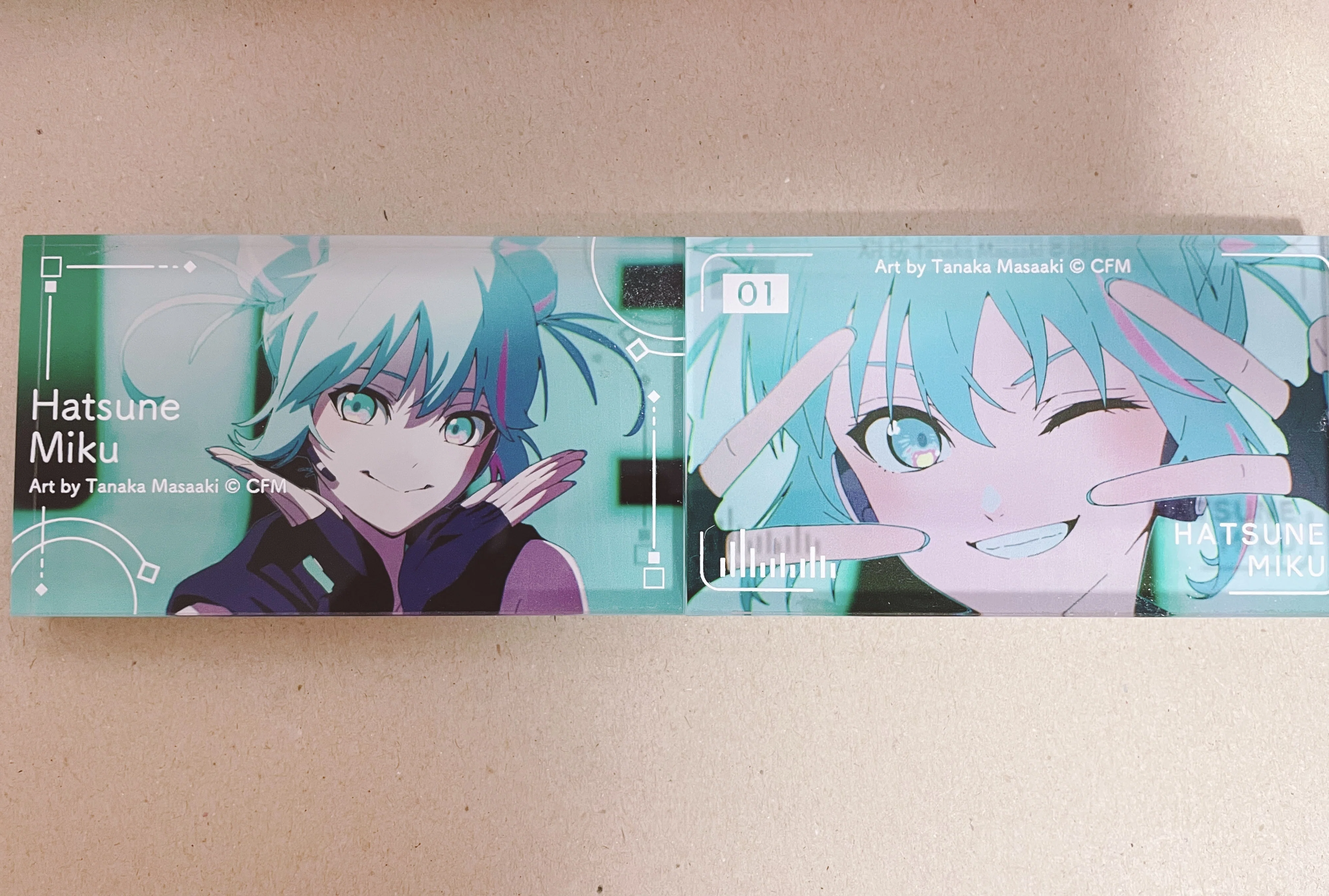 BLOOMING福岡(初音ミク JAPAN LIVE TOUR 2025) 感想戦！｜たなka