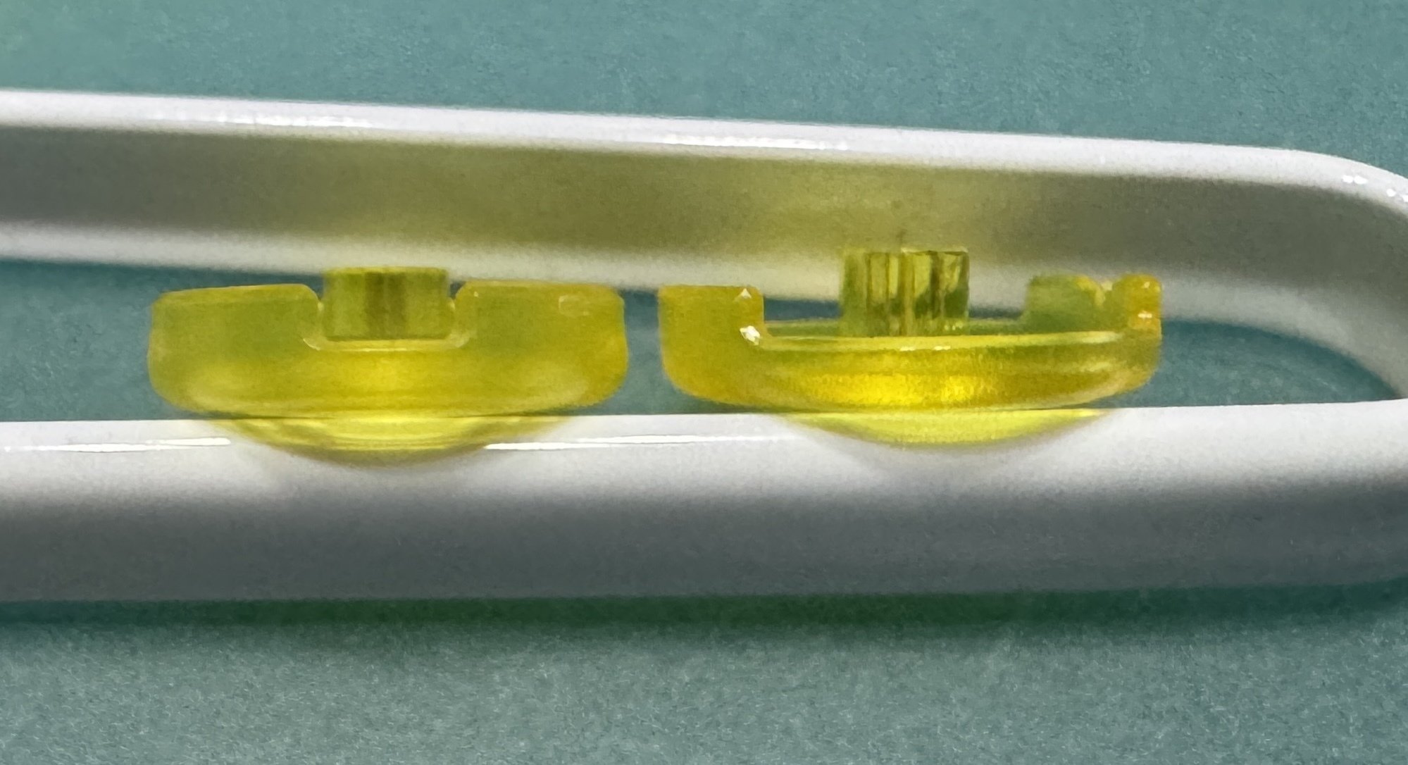 PUNK WORKSHOP 新ボタン レビュー｜toguro