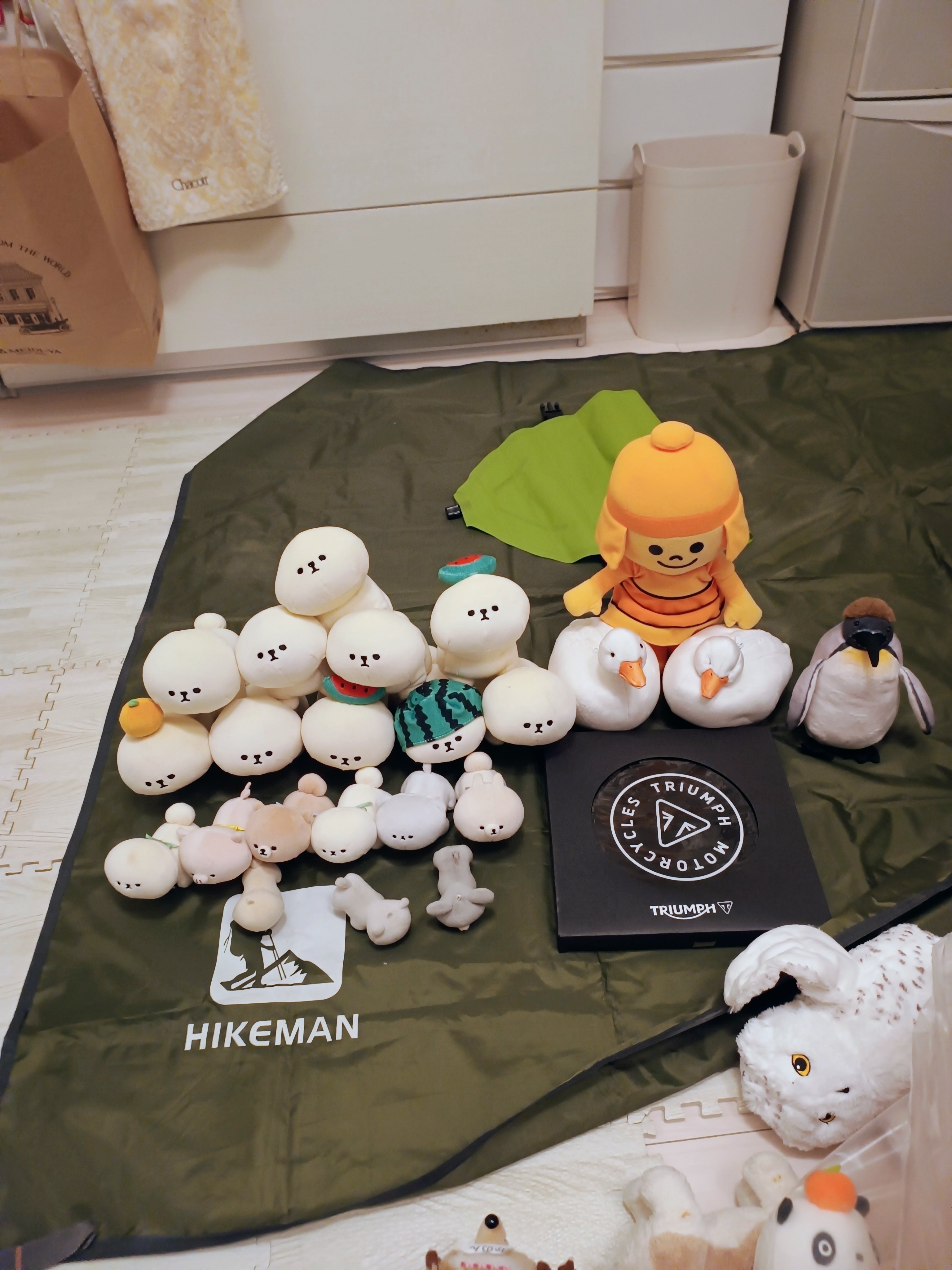 フリマで売却済み ️検証】一般人が描いた絵はフリマで売れるのか─大学生が1人でフリマ