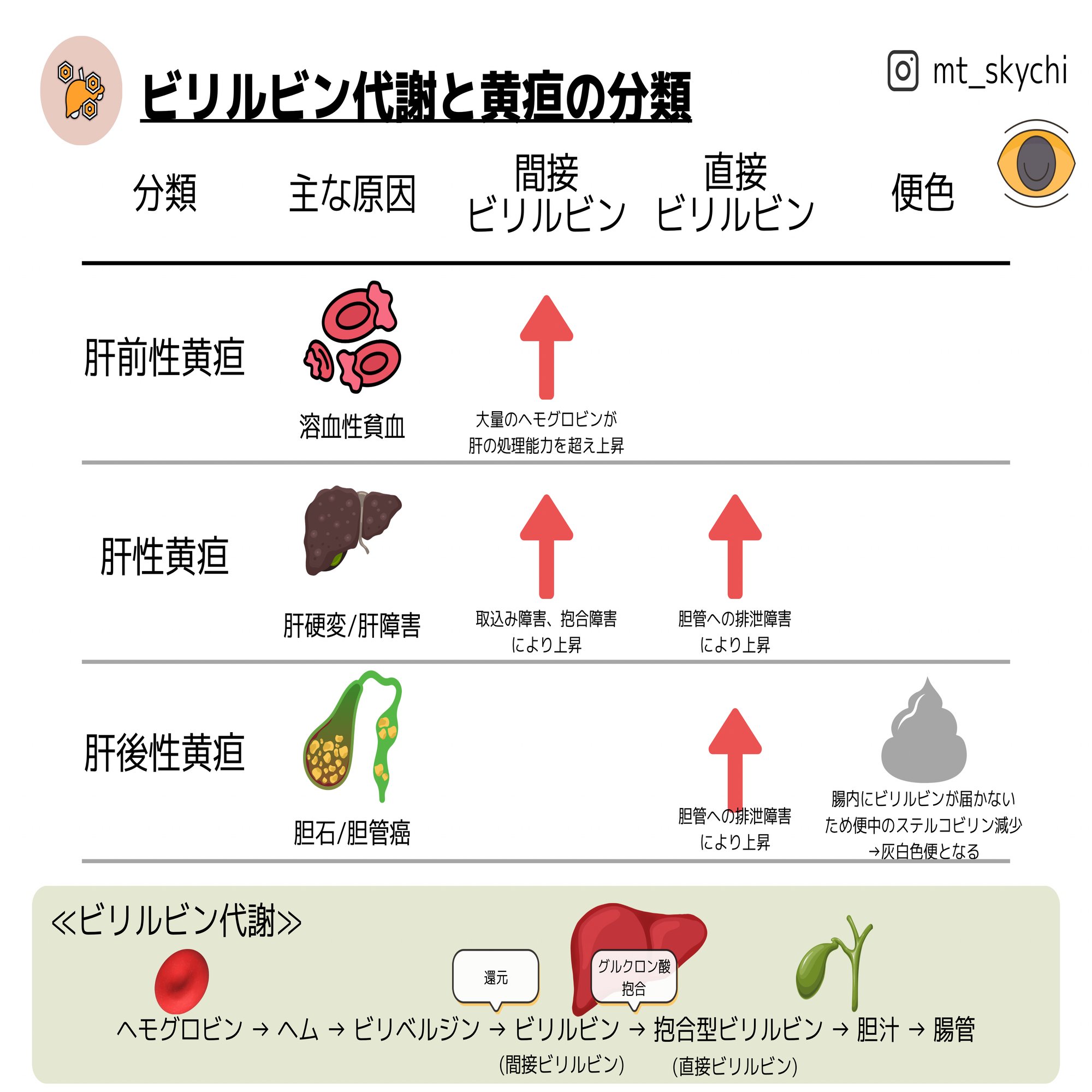2025第71回臨床検査技師国家試験【病理組織細胞学】#45〜58｜そらち/臨床検査技師