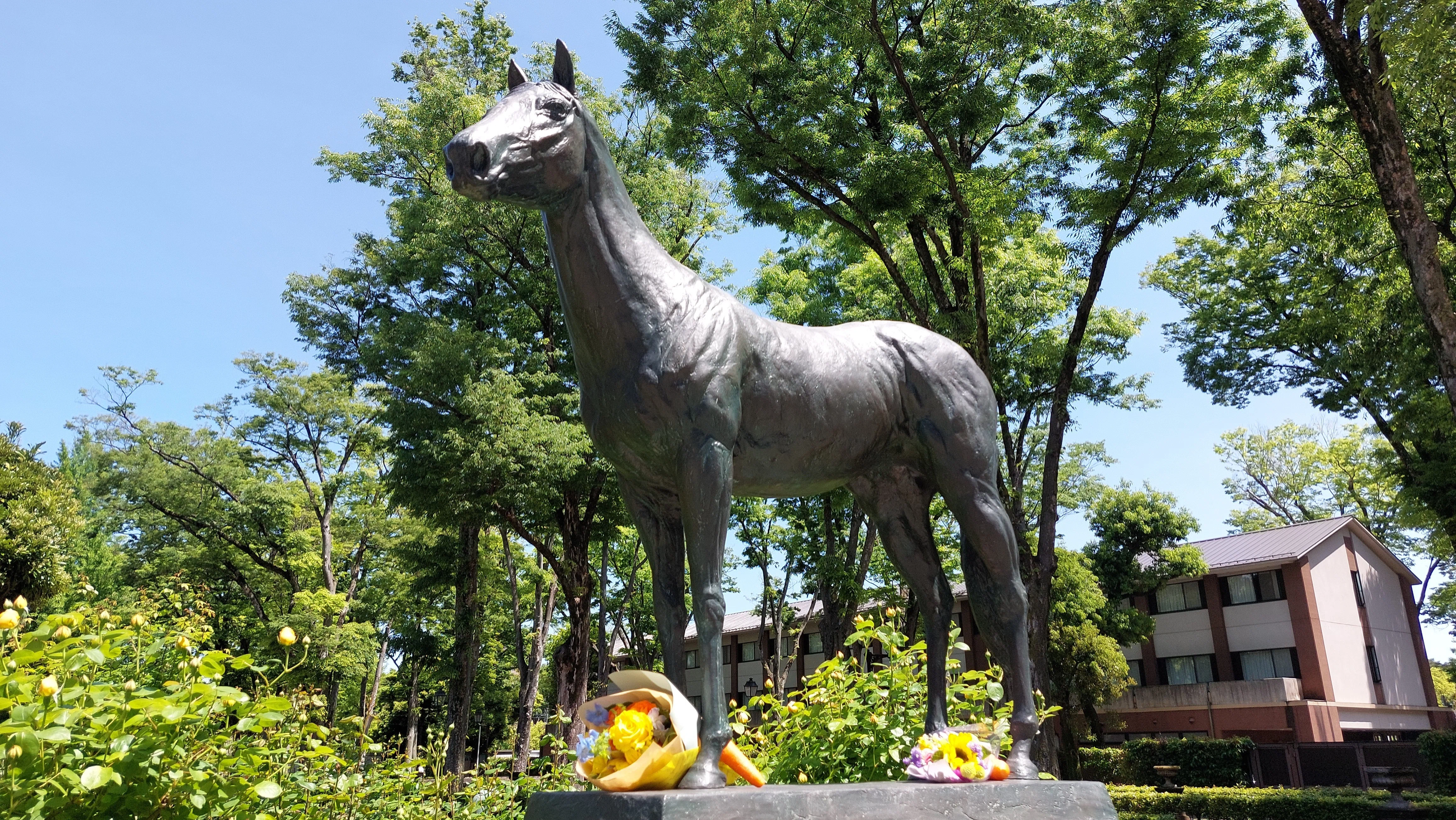 ねんがんの東京競馬場へ行くの巻｜竹生