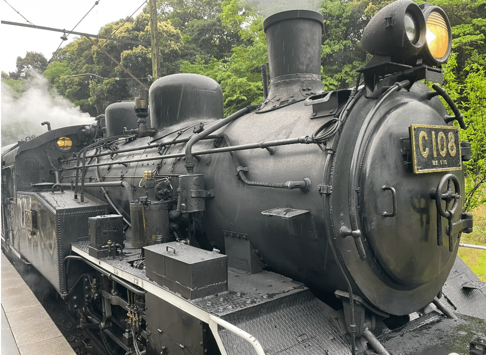 松竹梅鶴の図　石川有隣　Y250 松竹梅鶴の図 石川有隣 Y250 山本梅逸/松鶴図/松下双