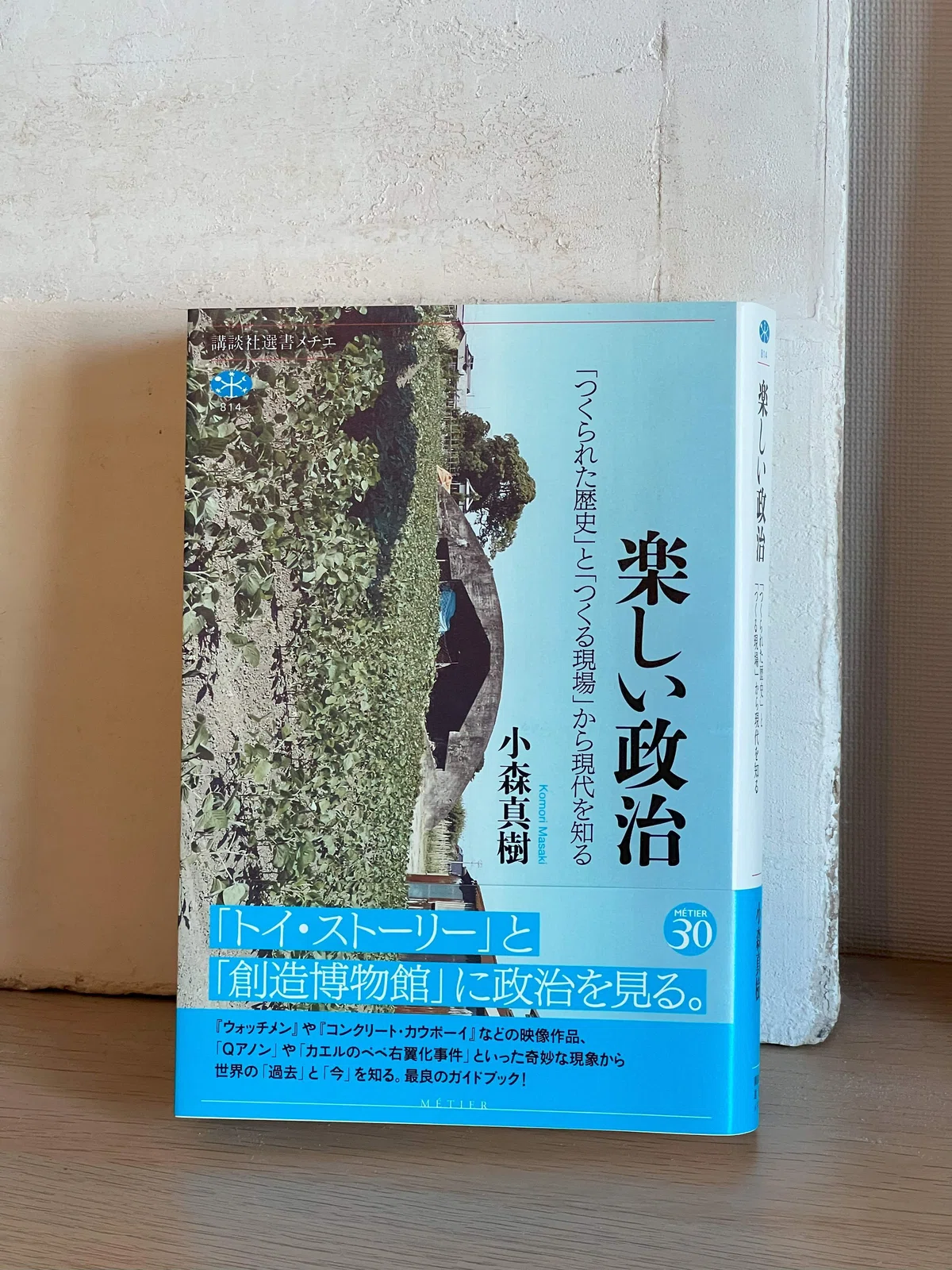 小森真樹著「楽しい政治」 |石膏像ドットコム(脇本)