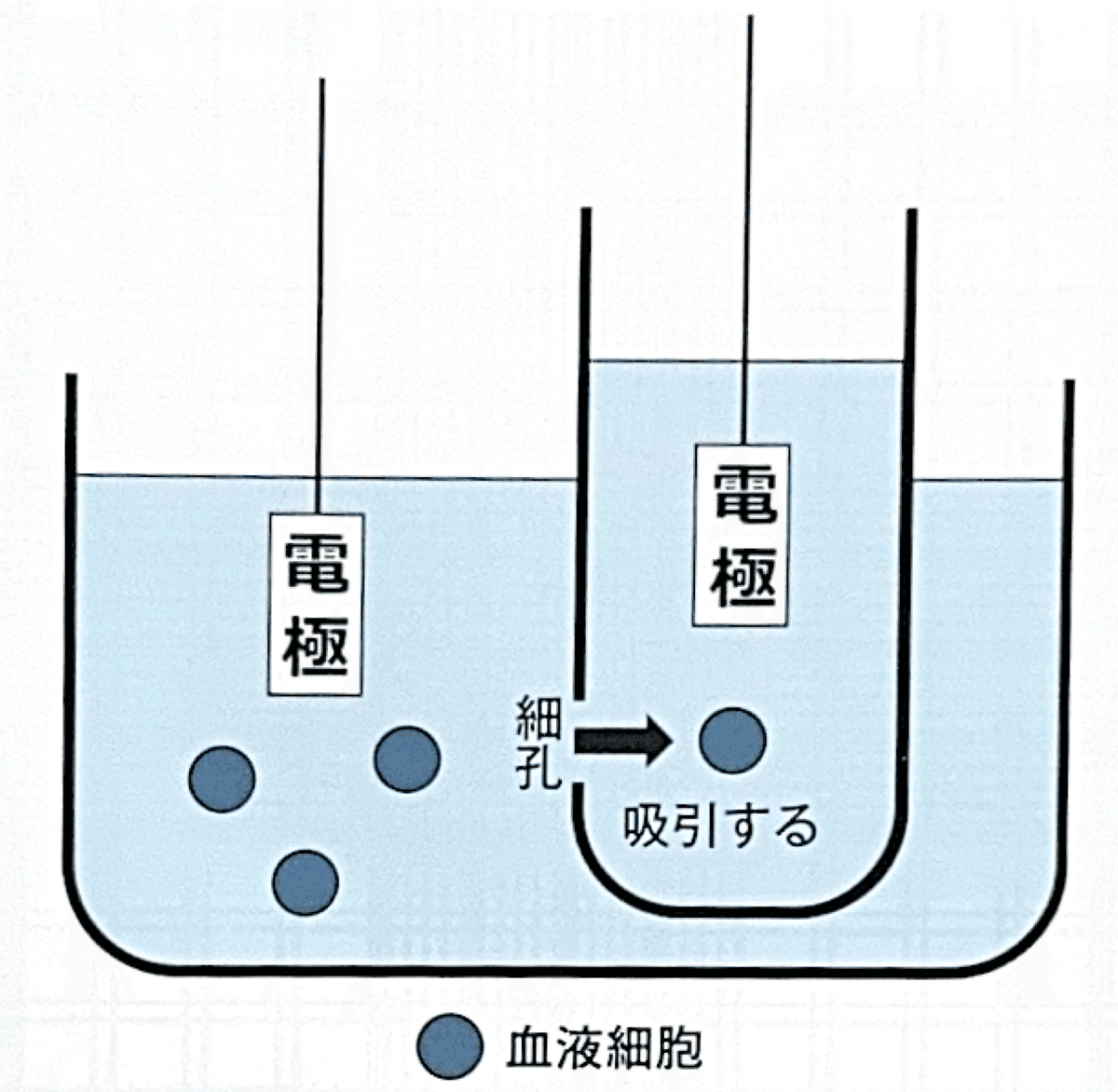 2025第71回臨床検査技師国家試験【臨床血液学】#59〜67｜そらち