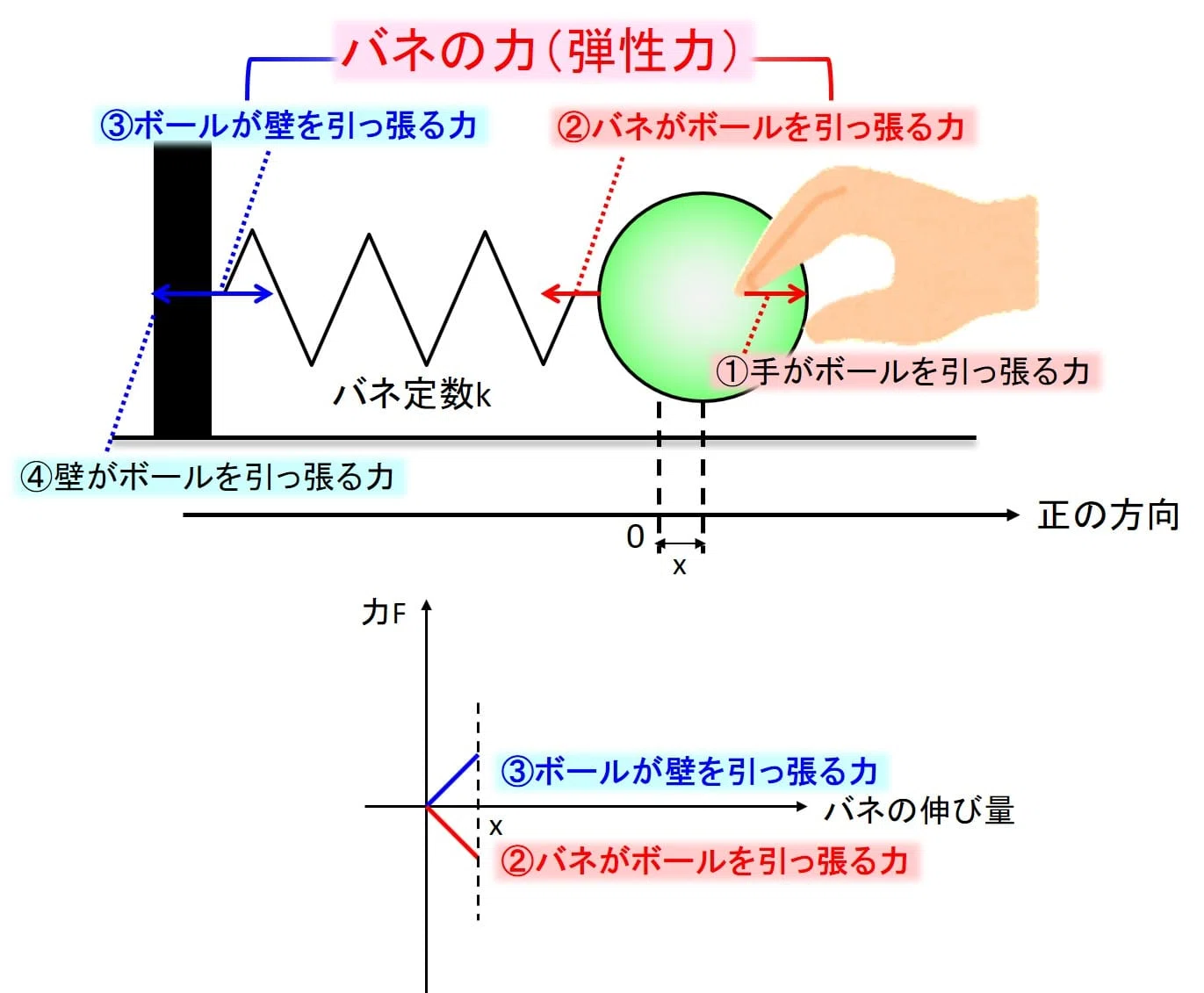 弾性 力 と は(01)
