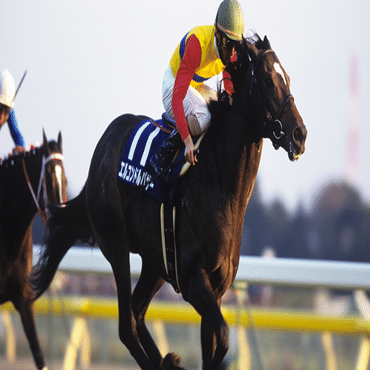 最強は2着だった──エルコンドルパサーと「凱旋門賞の記憶」｜漫才