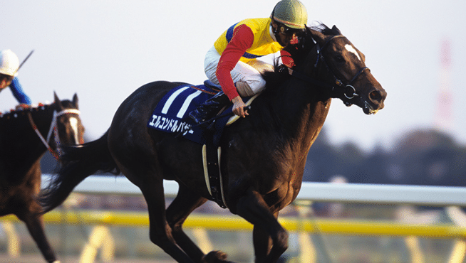 最強は2着だった──エルコンドルパサーと「凱旋門賞の記憶」｜漫才